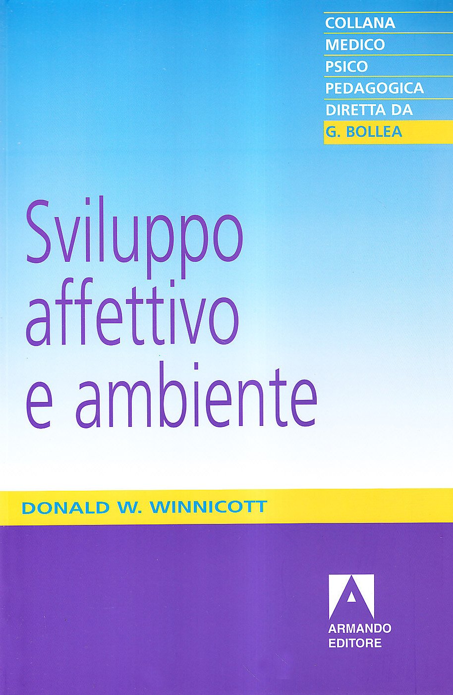 Sviluppo affettivo e ambiente. Studi sulla teoria dello sviluppo affettivo book