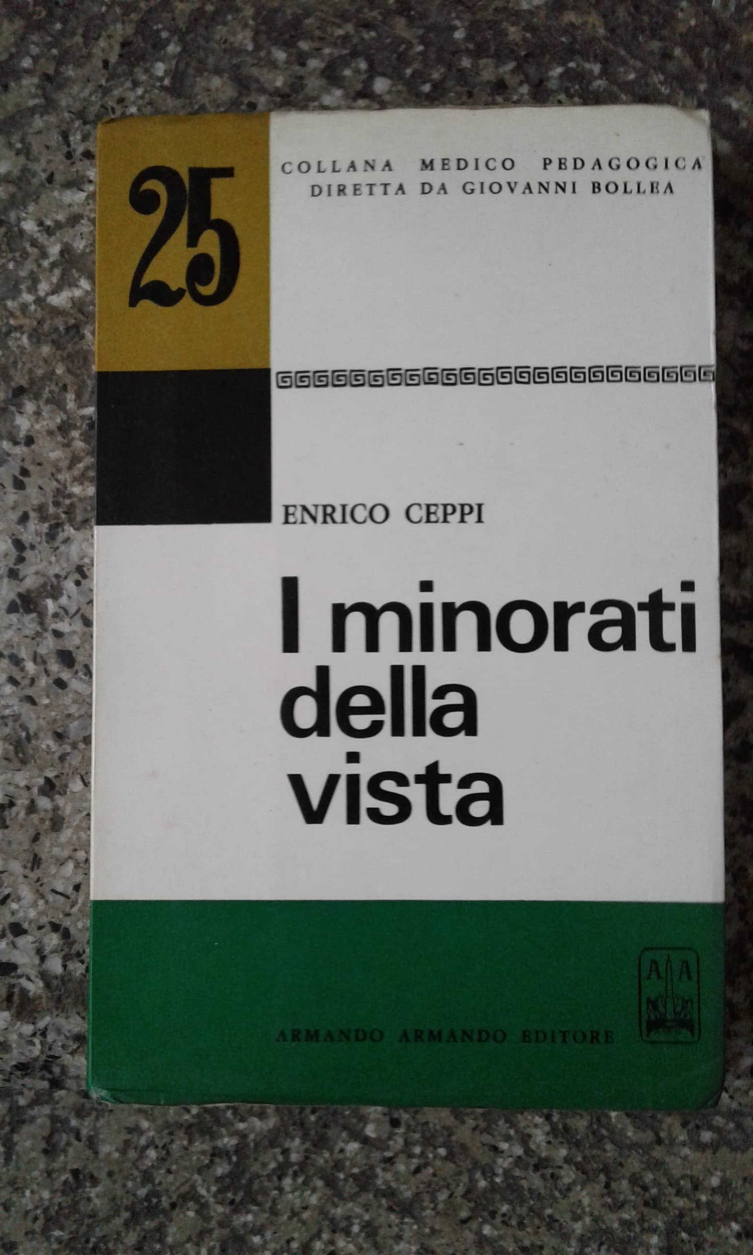 I minorati della vista. Storia e metodi delle scuole speciali book