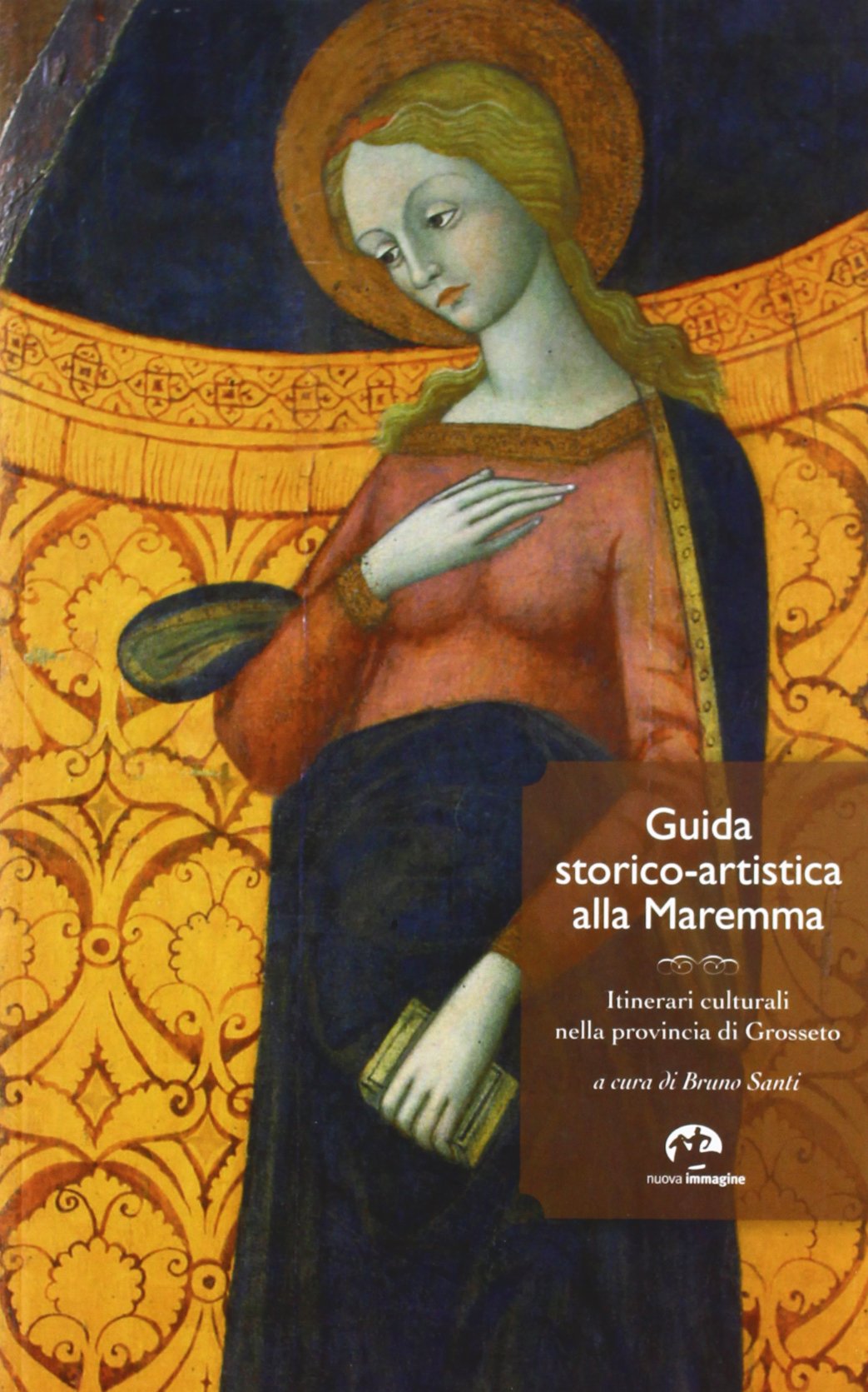 Guida storico-artistica alla Maremma. Itinerari culturali nella provincia di Grosseto book