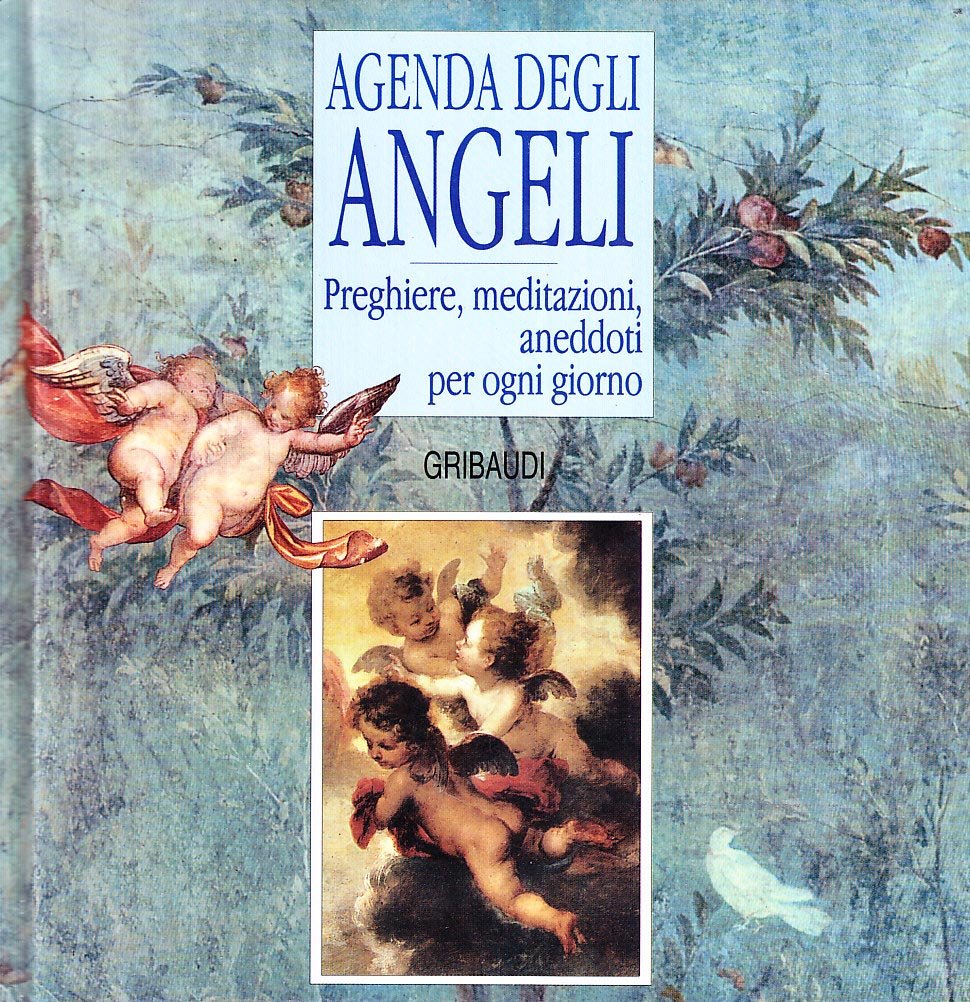 Agenda degli angeli. Preghiere, meditazioni, aneddoti per ogni giorno book