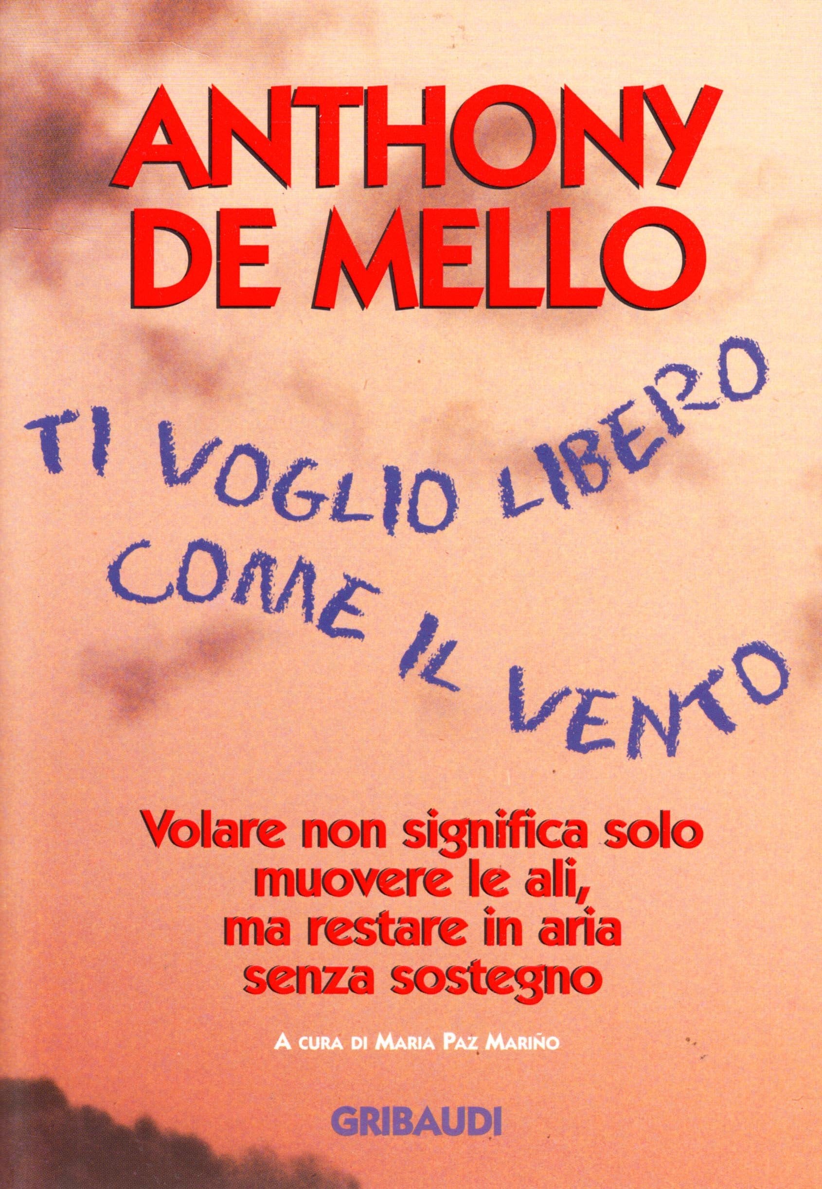 Ti voglio libero con il vento. Volare non significa solo muovere le ali book