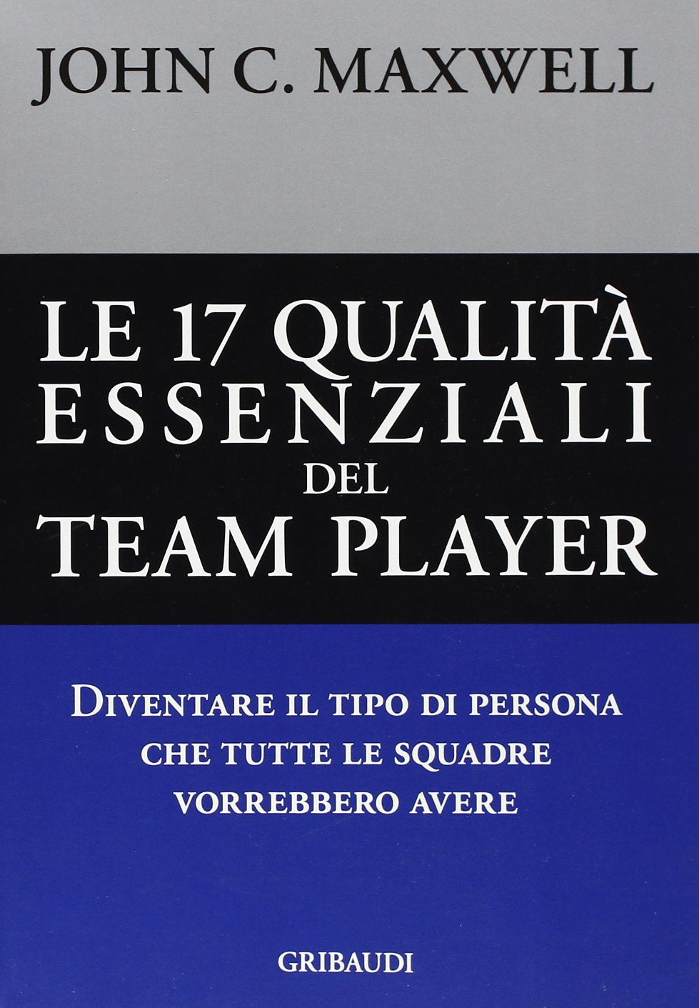 Le diciassette qualità essenziali del team player. Diventare il tipo di persona che tutte le squadre vorrebbero avere Business, Finance & Career