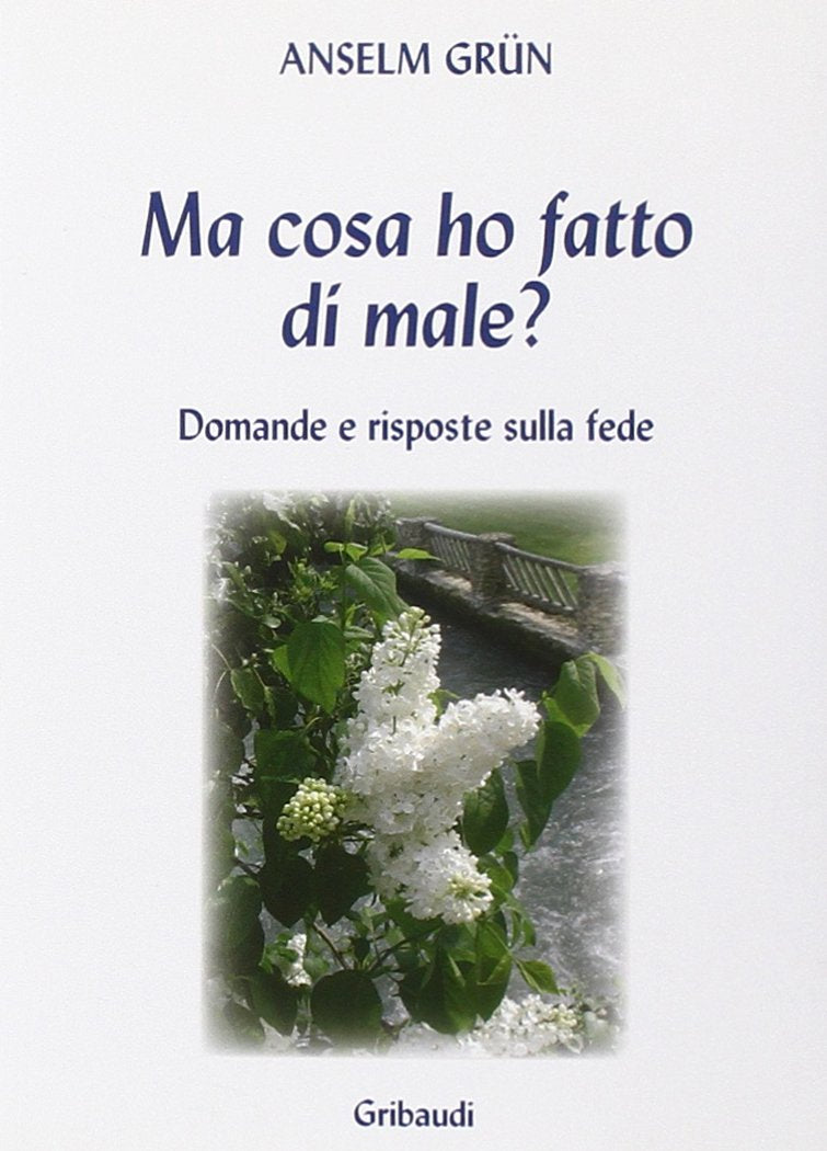 Ma cosa ho fatto di male? Domande e risposte sulla fede book