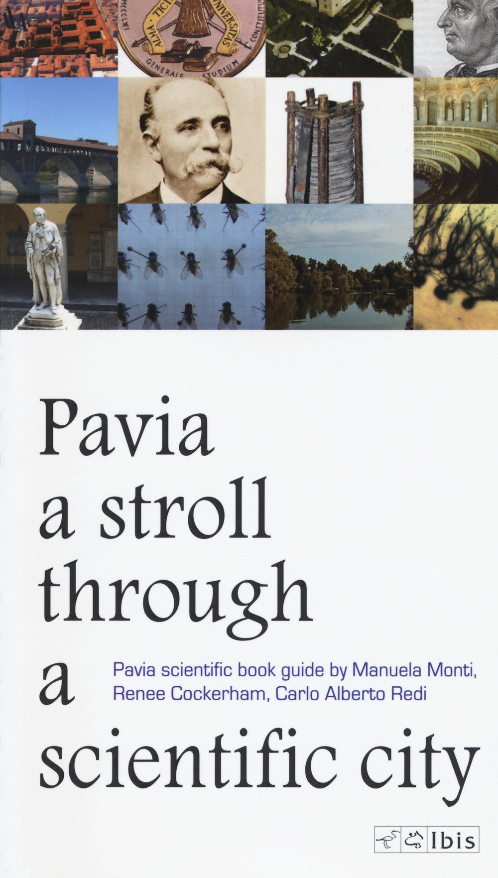 A stroll through a scientific city. Pavia scientific book guide Leisure, Home & Garden