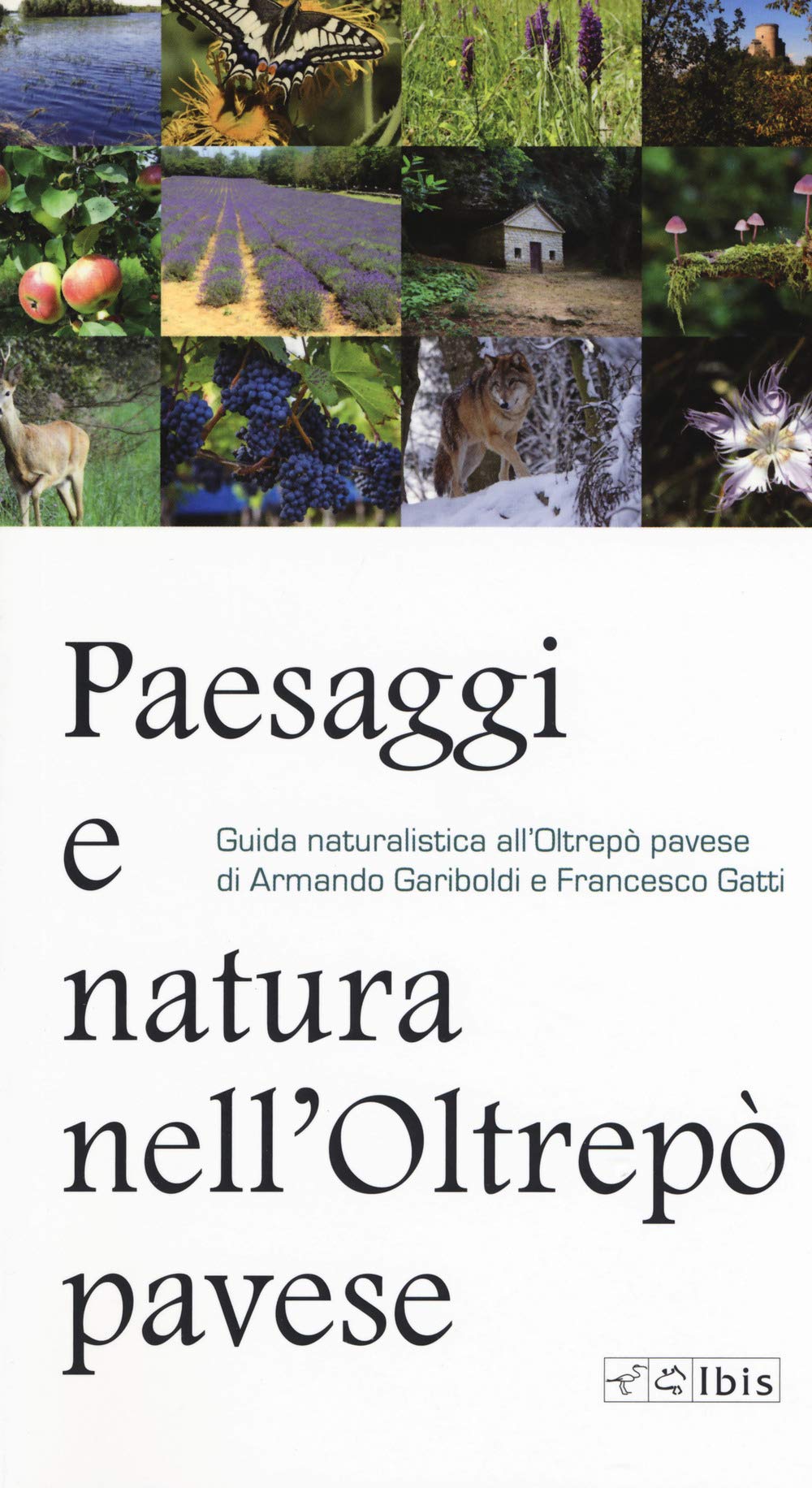Paesaggi e natura nell'Oltrepò pavese. Guida naturalistica all'Oltrepò pavese Leisure, Home & Garden