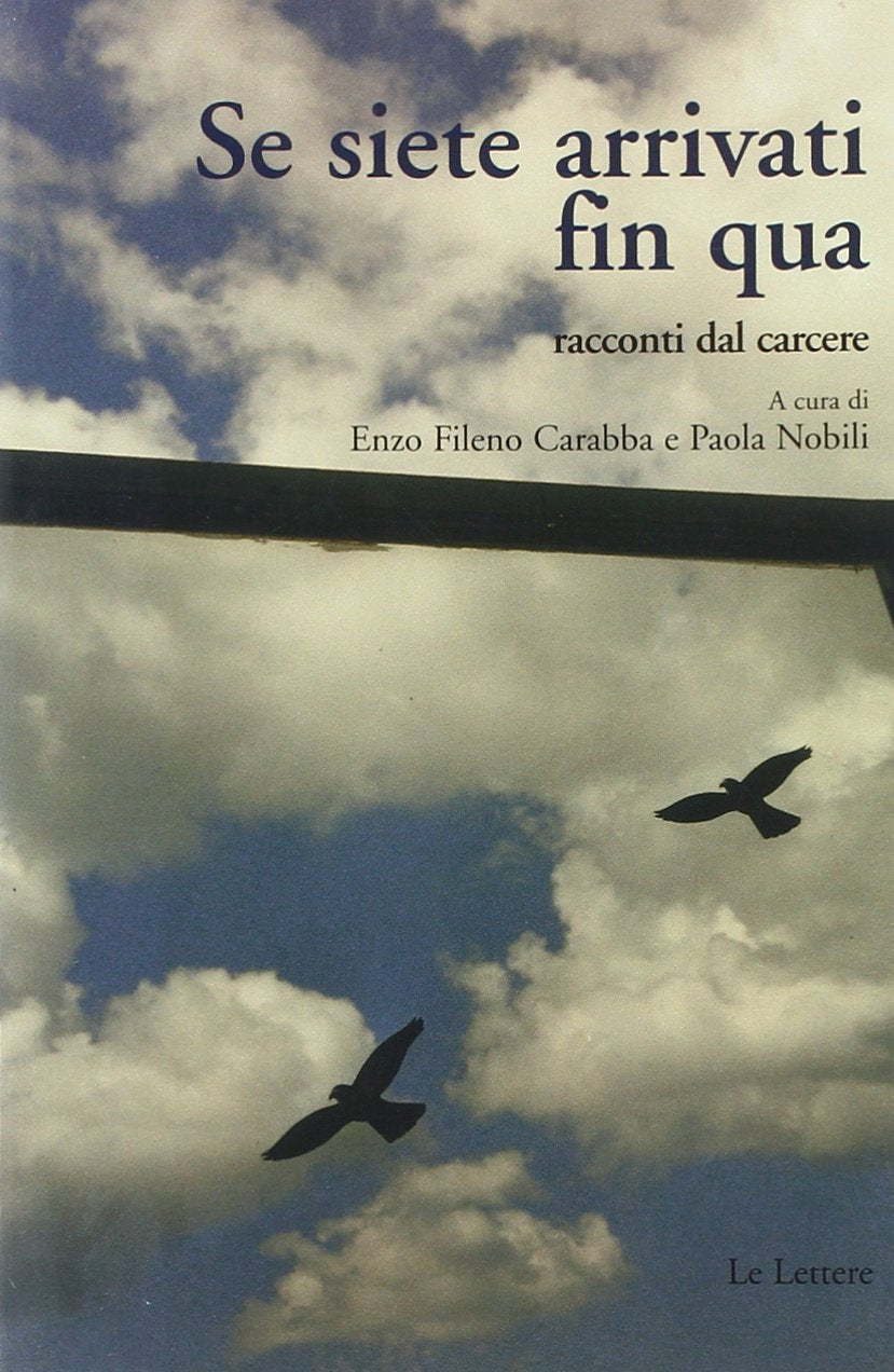 Se siete arrivati fin qua. Racconti dal carcere Contemporary literature