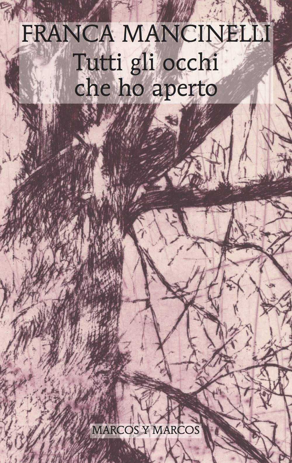 Tutti gli occhi che ho aperto book