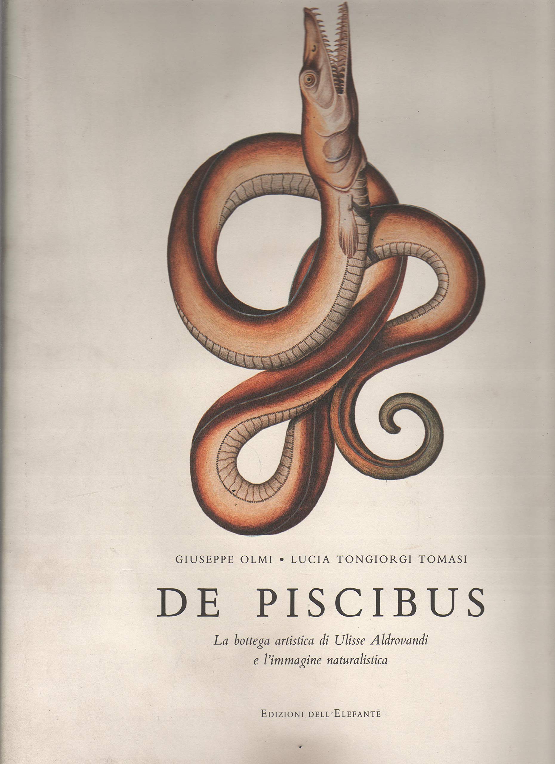 De piscibus. La bottega artistica di Ulisse Aldrovandi e l'immagine naturalistica book