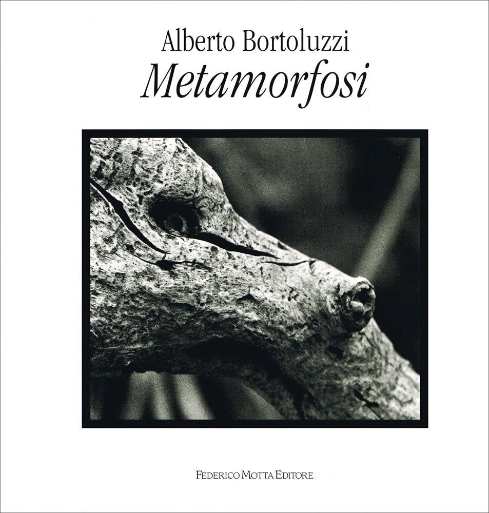 Metamorfosi. Ediz. illustrata book