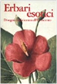 Erbari esotici. Disegni dal Seicento all'Ottocento book