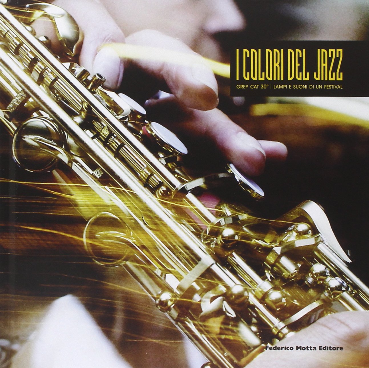I colori del jazz. Grey Cat 30°. Lampi e suoni di un festival. Ediz. italiana e inglese book