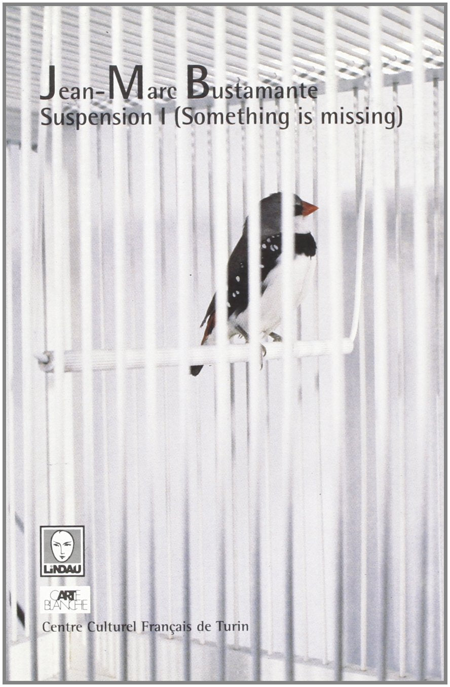 Jean-Marc Bustamante. Suspension. Something is missing (Vol. 1) (Carte blanche) Books