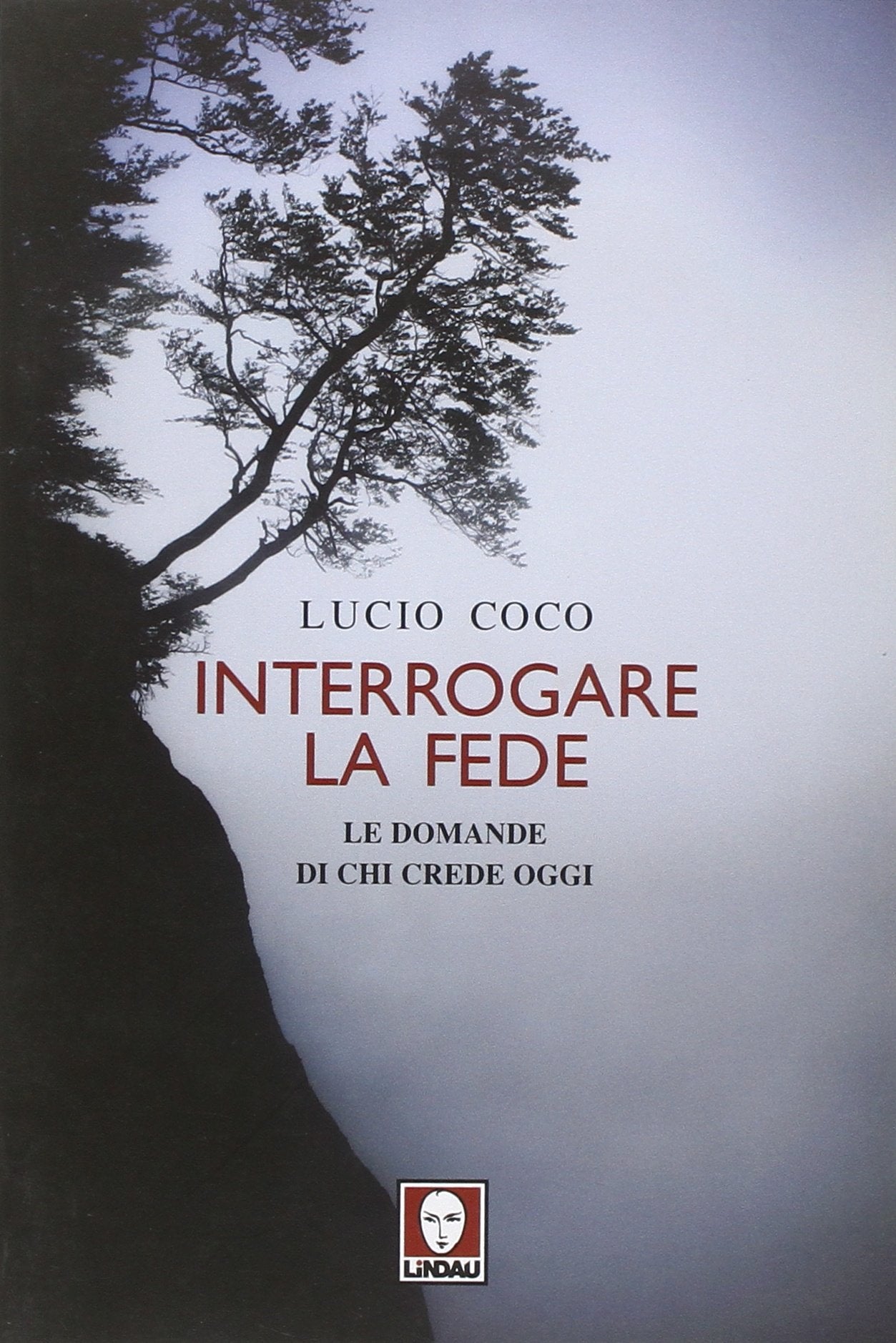Interrogare la fede. Le domande di chi crede oggi book