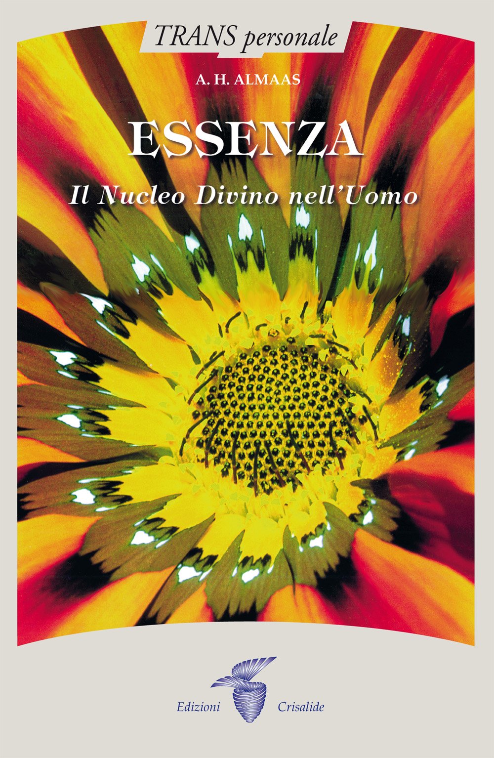 Essenza. Il nucleo divino nell'uomo book