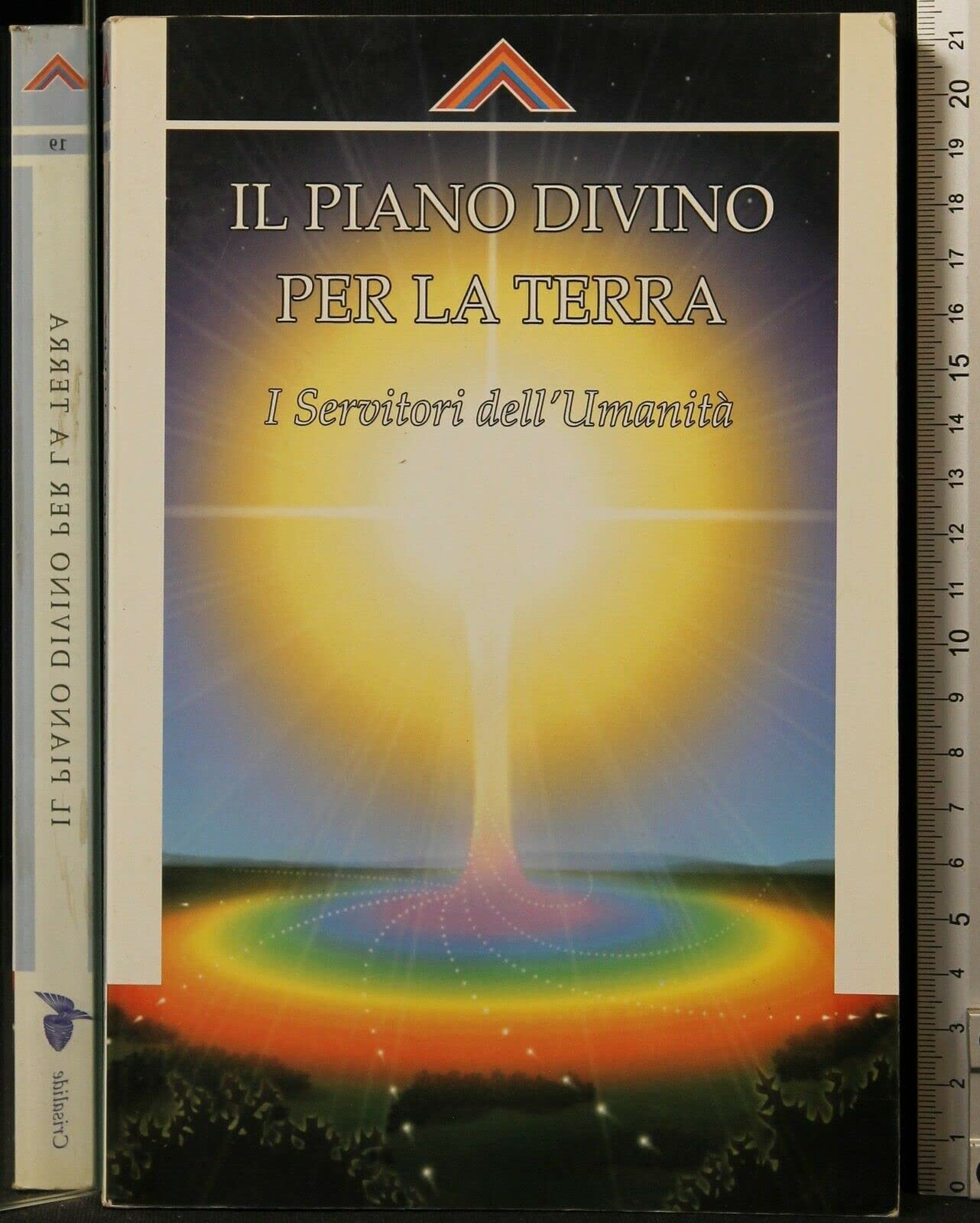 Il piano divino per la Terra. I servitori dell'umanità book