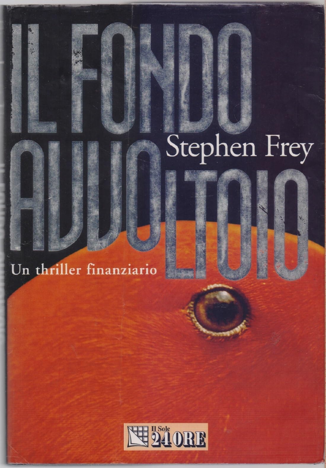 Il fondo avvoltoio. Un thriller finanziario book