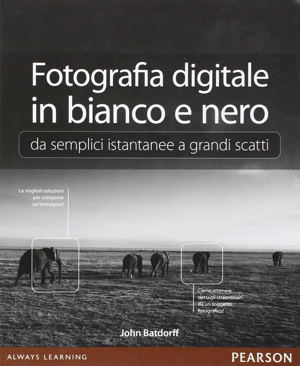 Fotografia digitale in bianco e nero: da semplici istantanee a grandi scatti. Ediz. illustrata book
