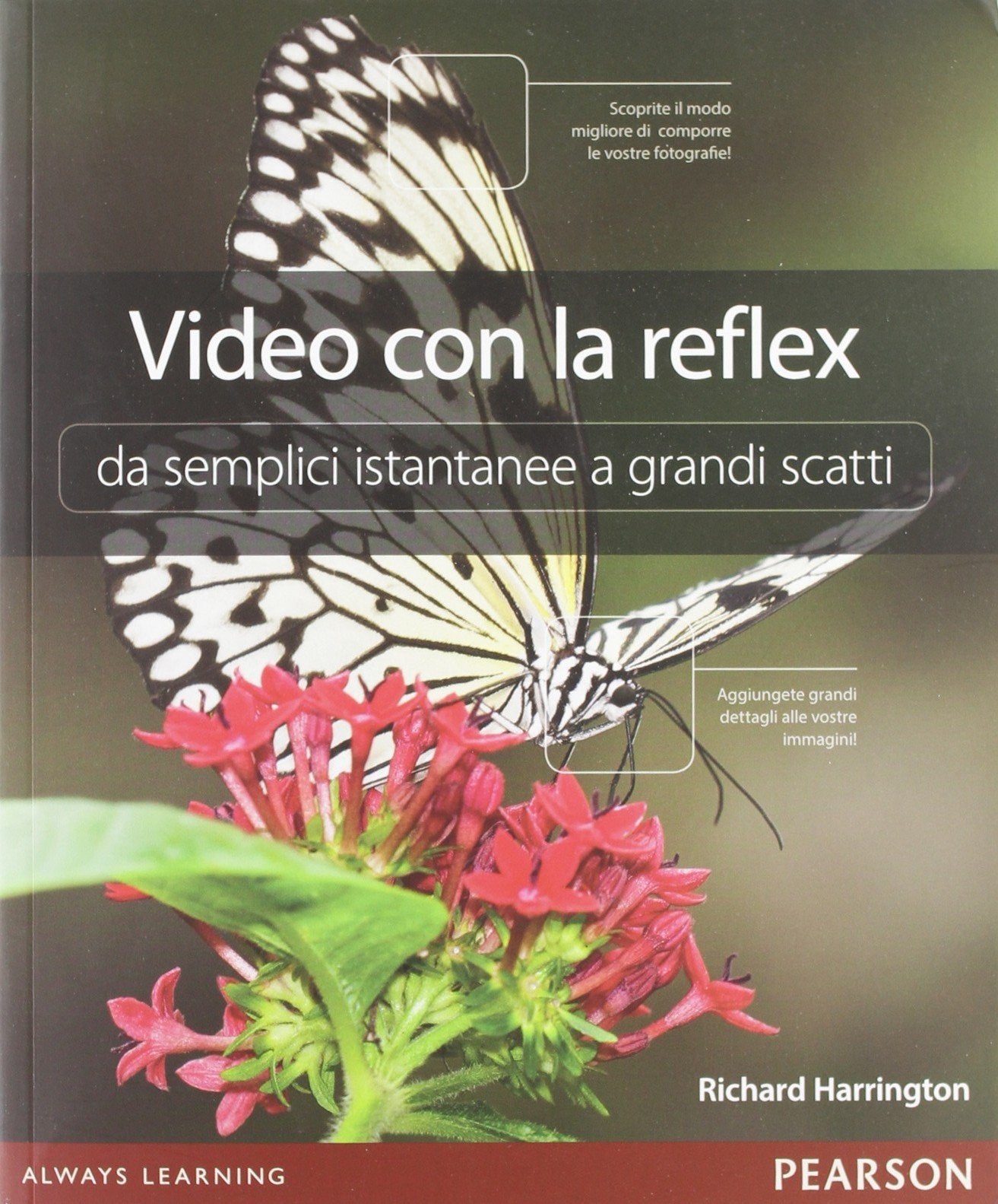 Video con la reflex. Da semplici istantanee a grandi scatti book