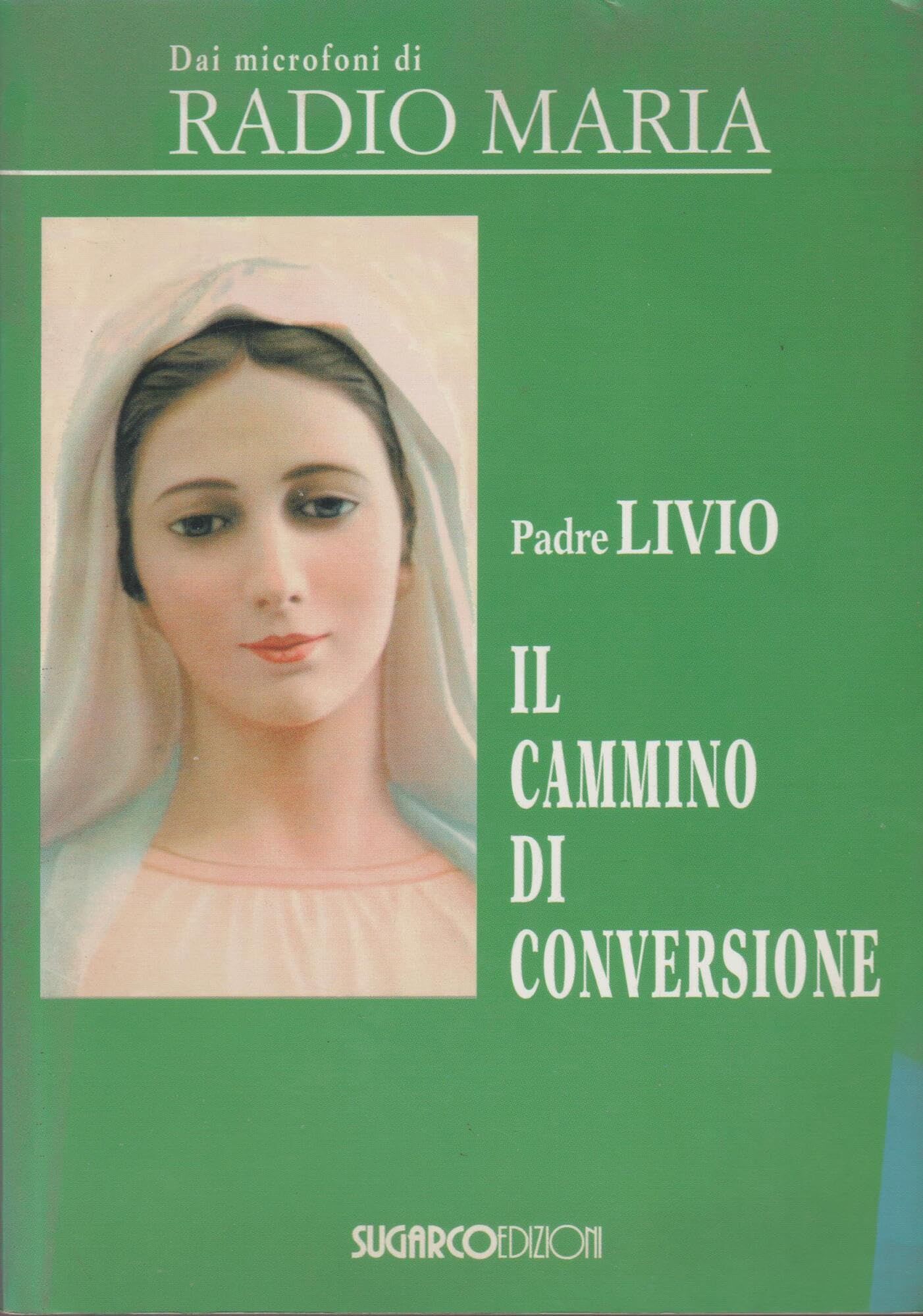 Il Cammino Di Conversione book