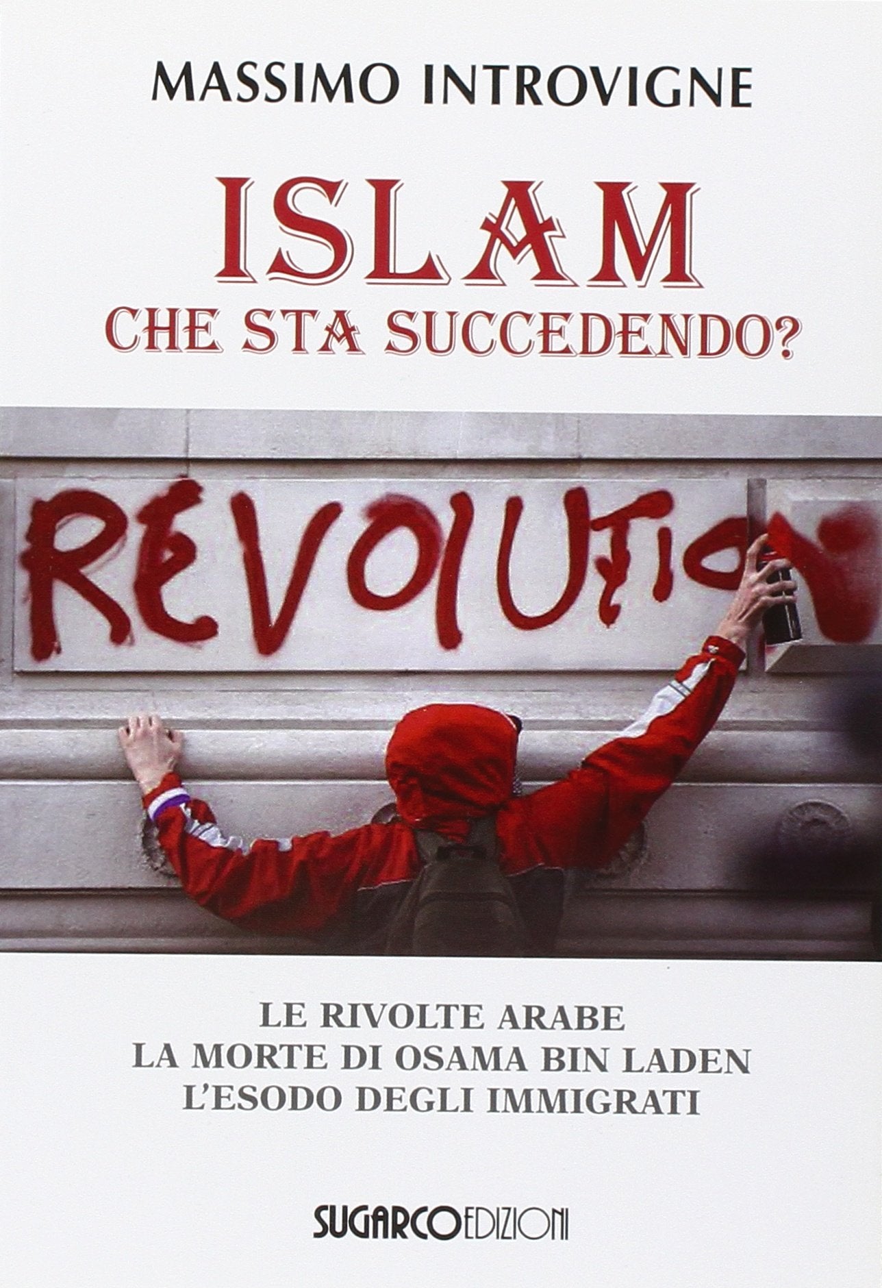 Islam. Che sta succedendo? Le rivolte arabe. La morte di Osama Bin Laden. L'esodo degli immigrati (Argomenti) Religion & Esotericism
