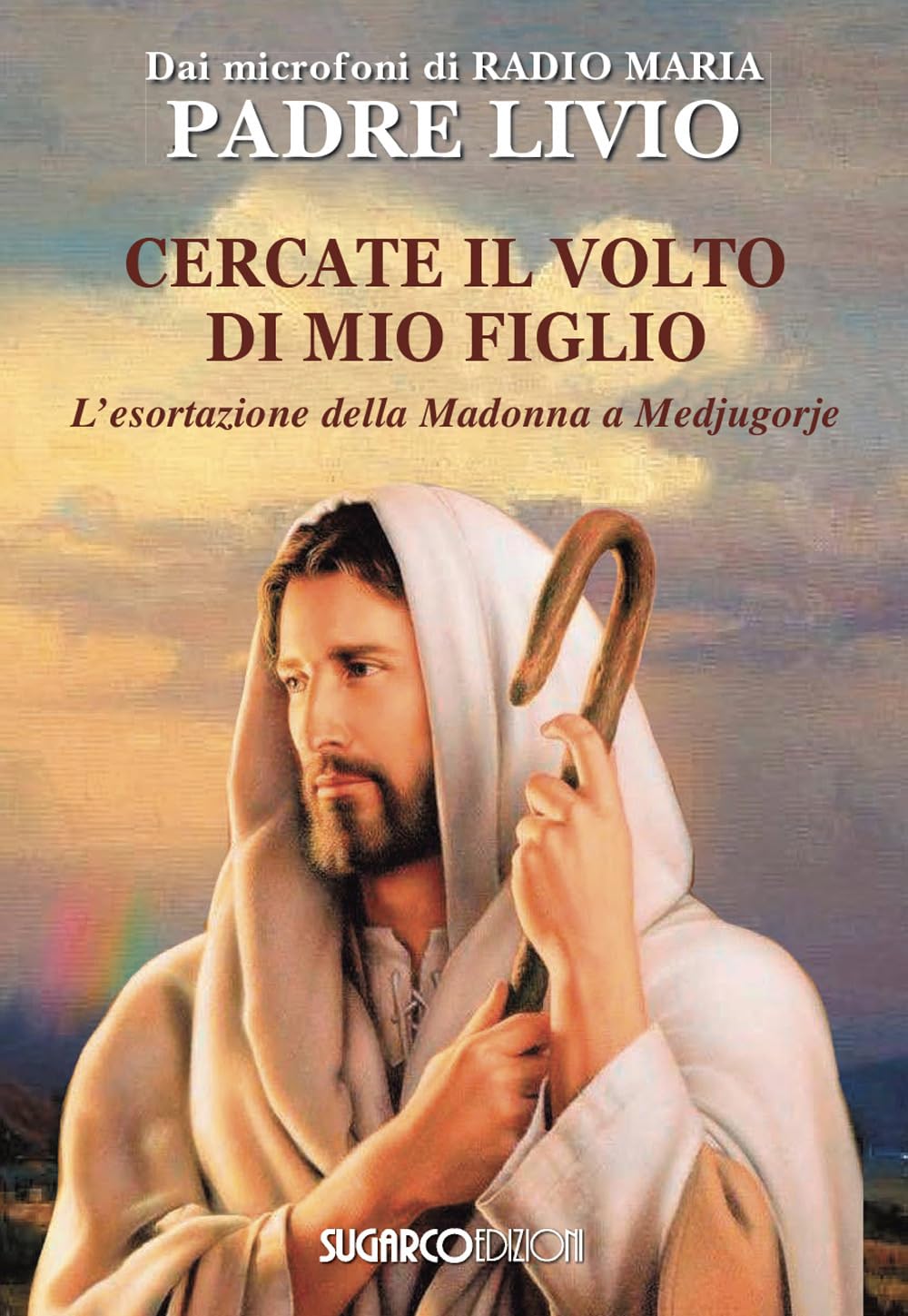 Cercate il volto di mio figlio. L'esortazione della Madonna a Medjugorje book