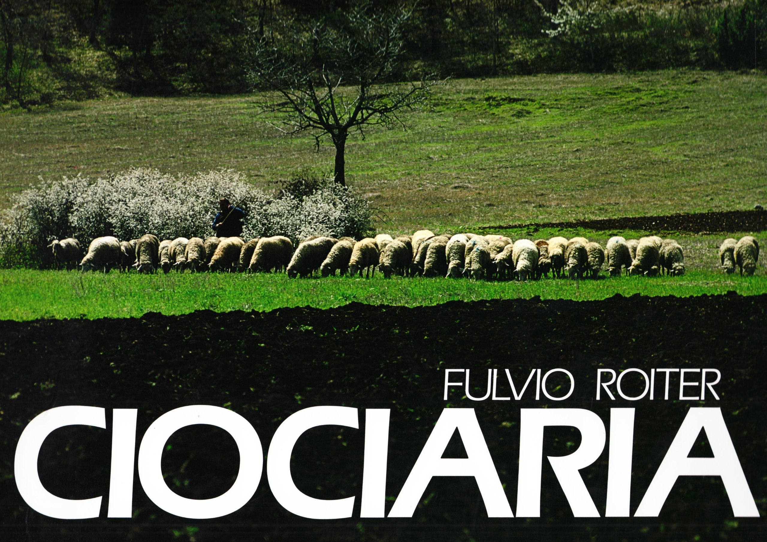 Ciociaria. Ediz. italiana e inglese book