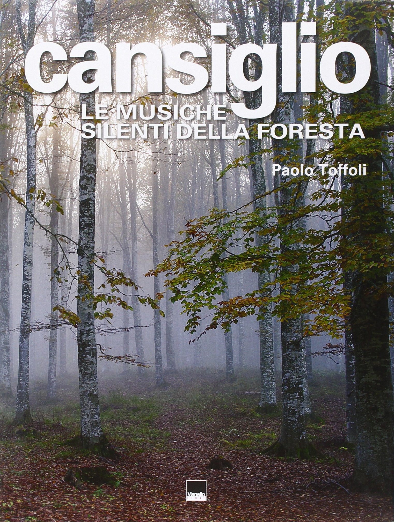 Cansiglio. Le musiche silenti della foresta. Ediz. illustrata book