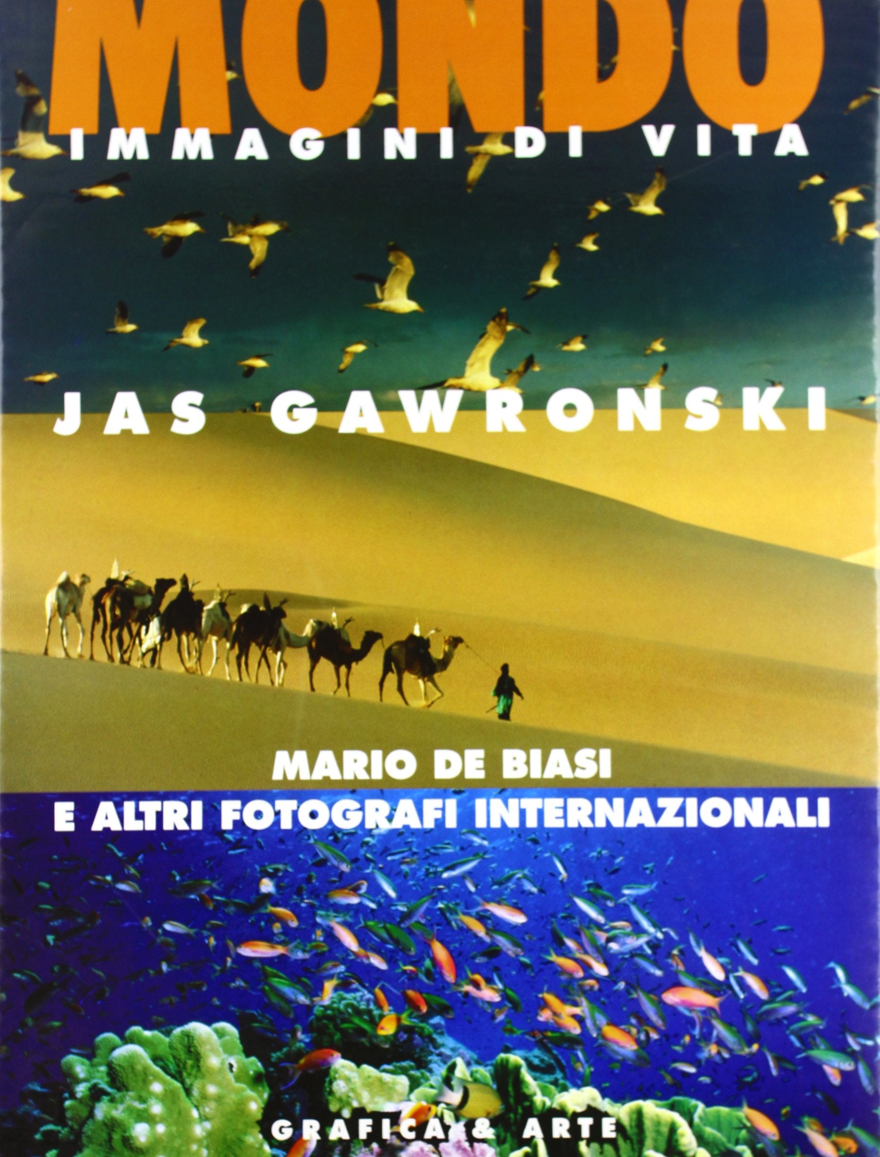 Mondo immagini di vita. Ediz. illustrata book