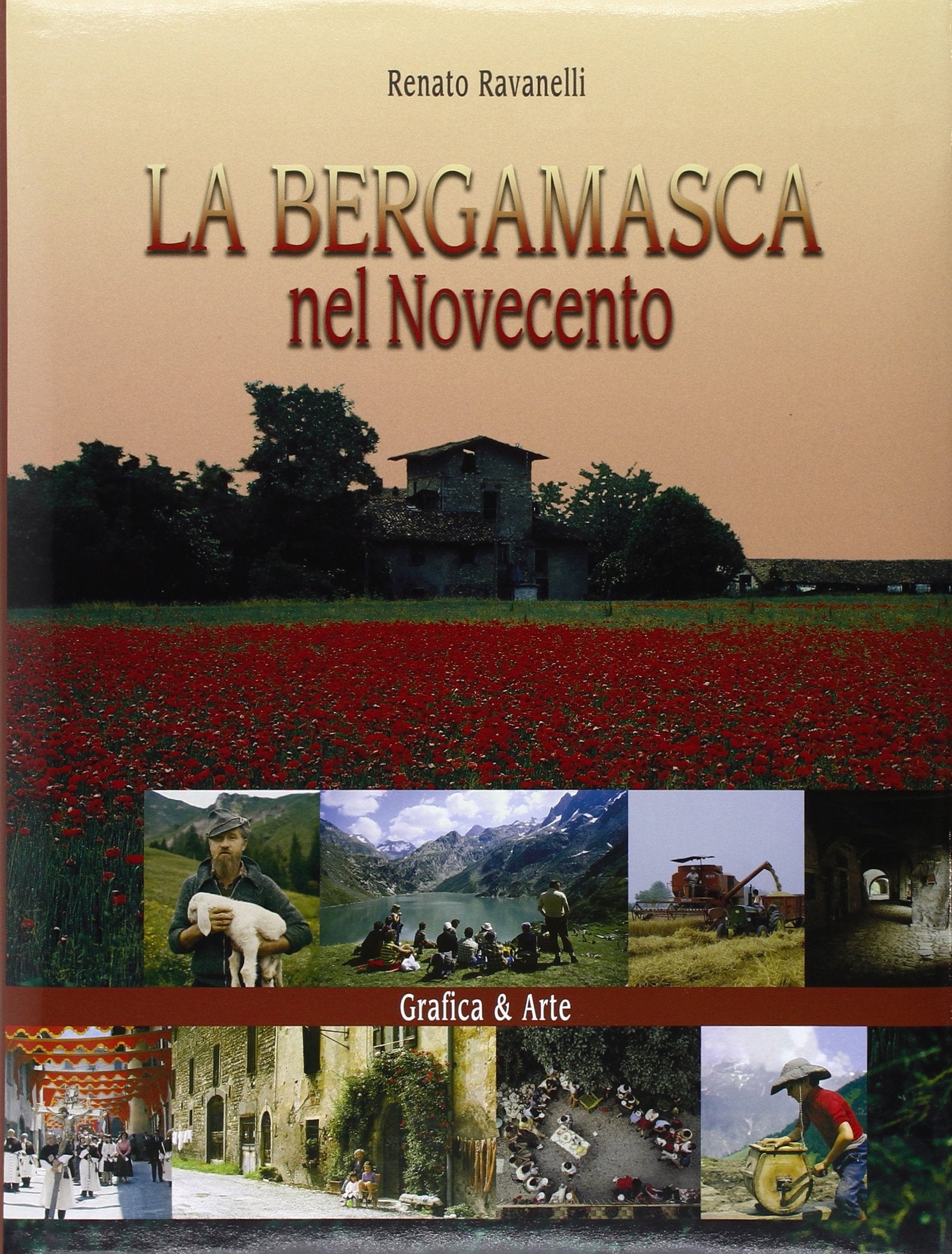 La bergamasca nel Novecento. Ediz. illustrata Politics & History