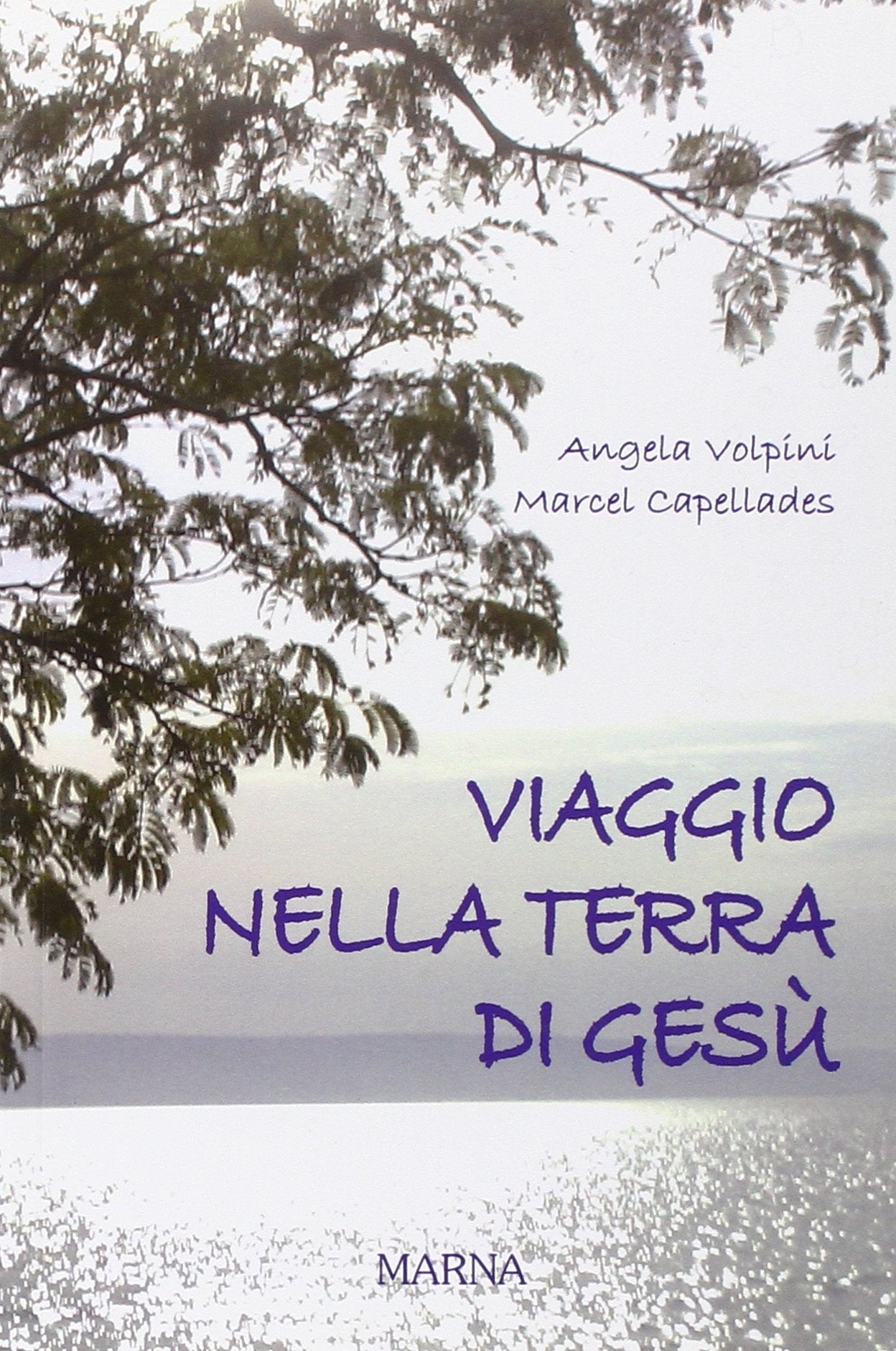 Viaggio nella terra di Gesù (Tracce) Religion & Esotericism