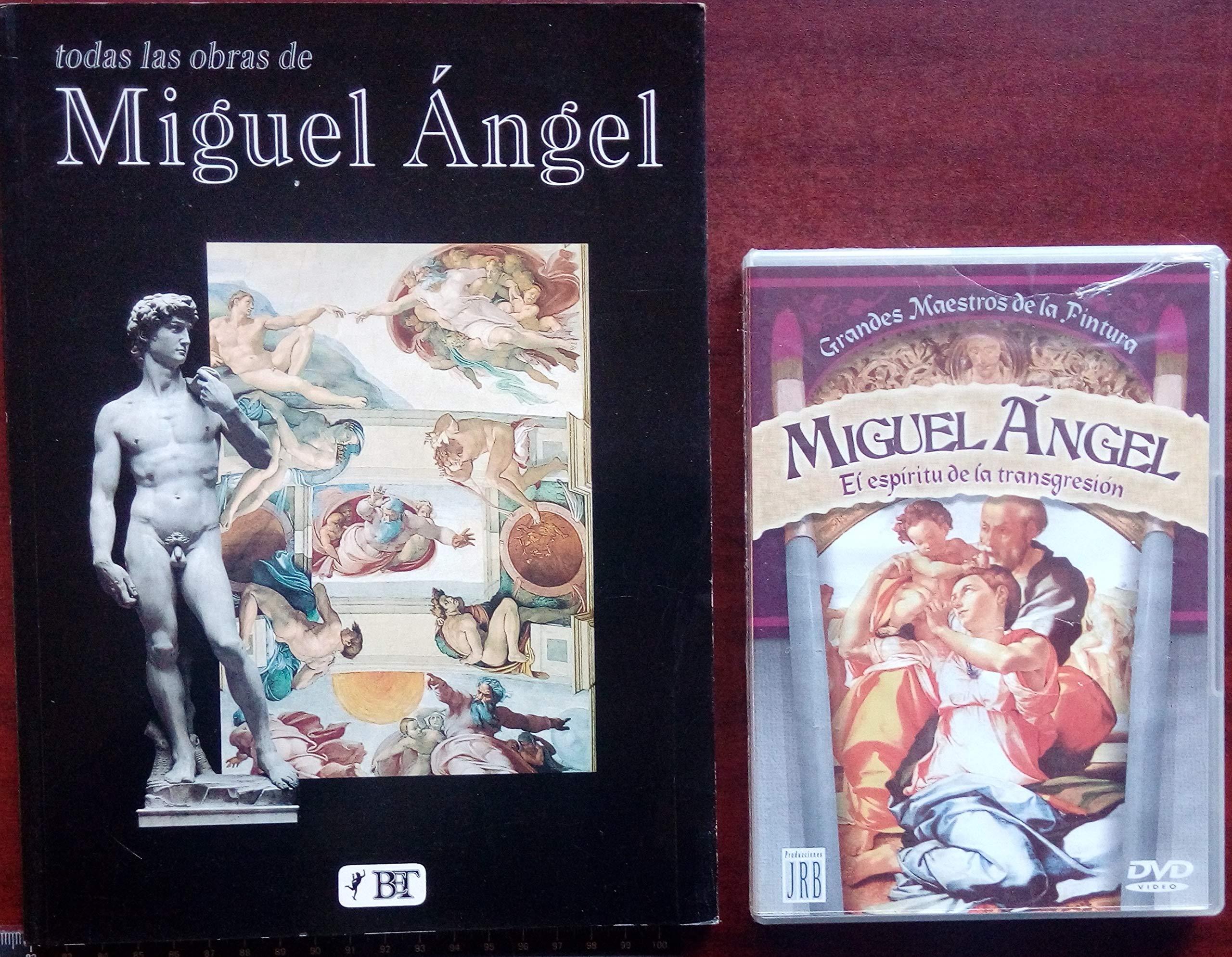 Todas las obras de Miguel Angel book
