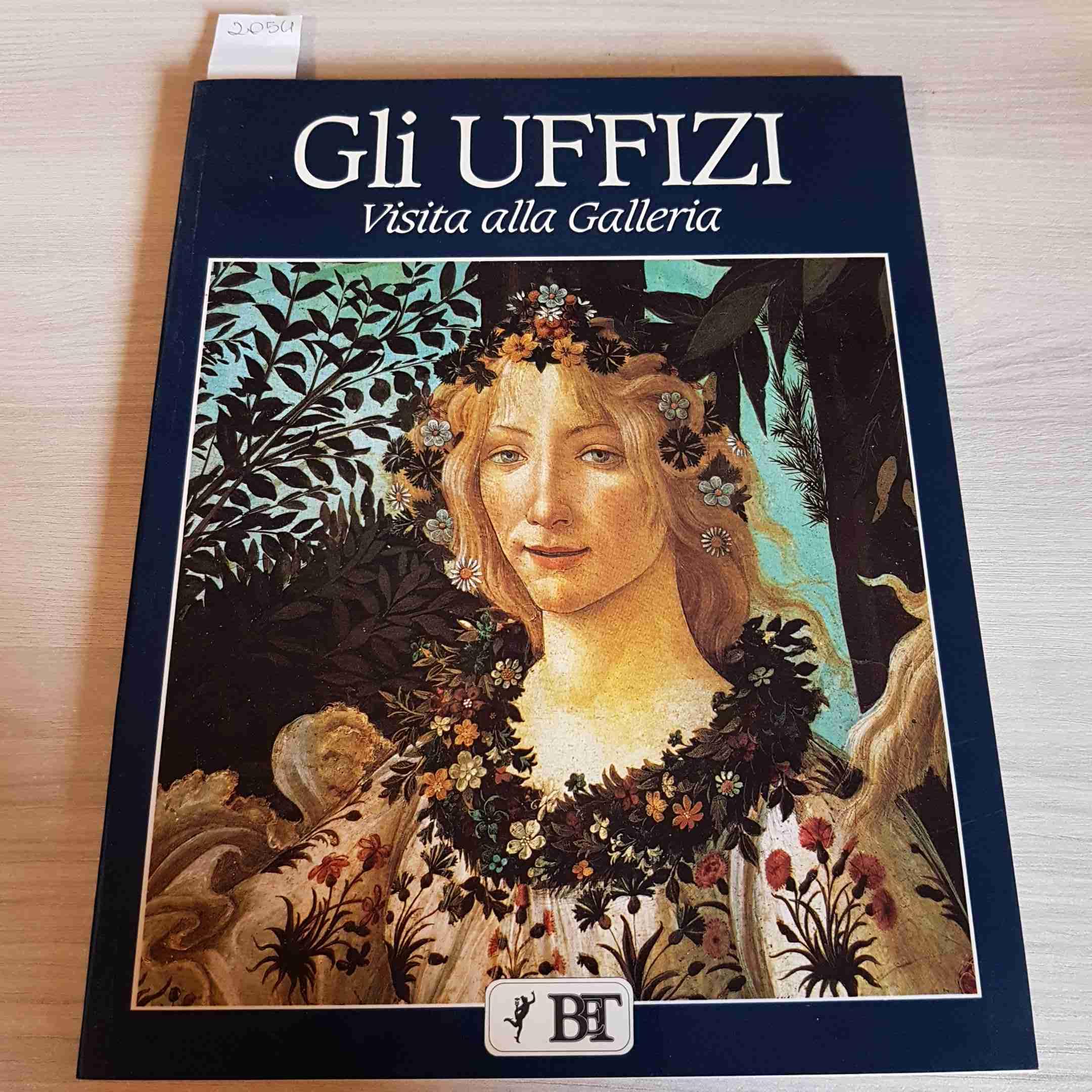 Gli Uffizi. Visita alla galleria book