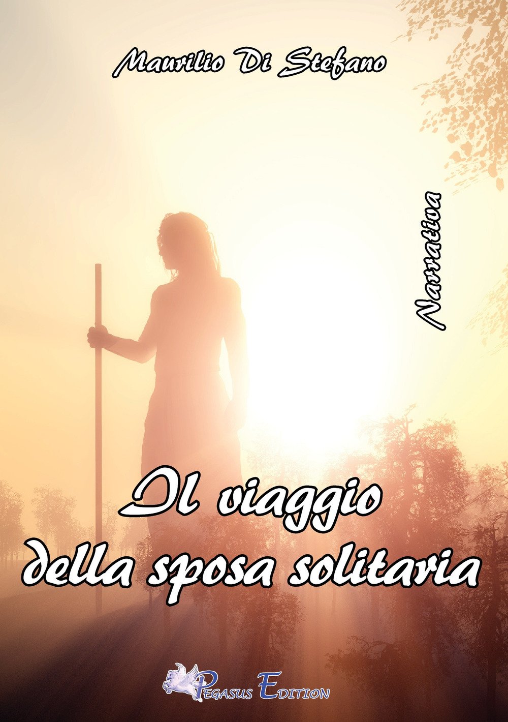 Il viaggio della sposa solitaria Contemporary literature