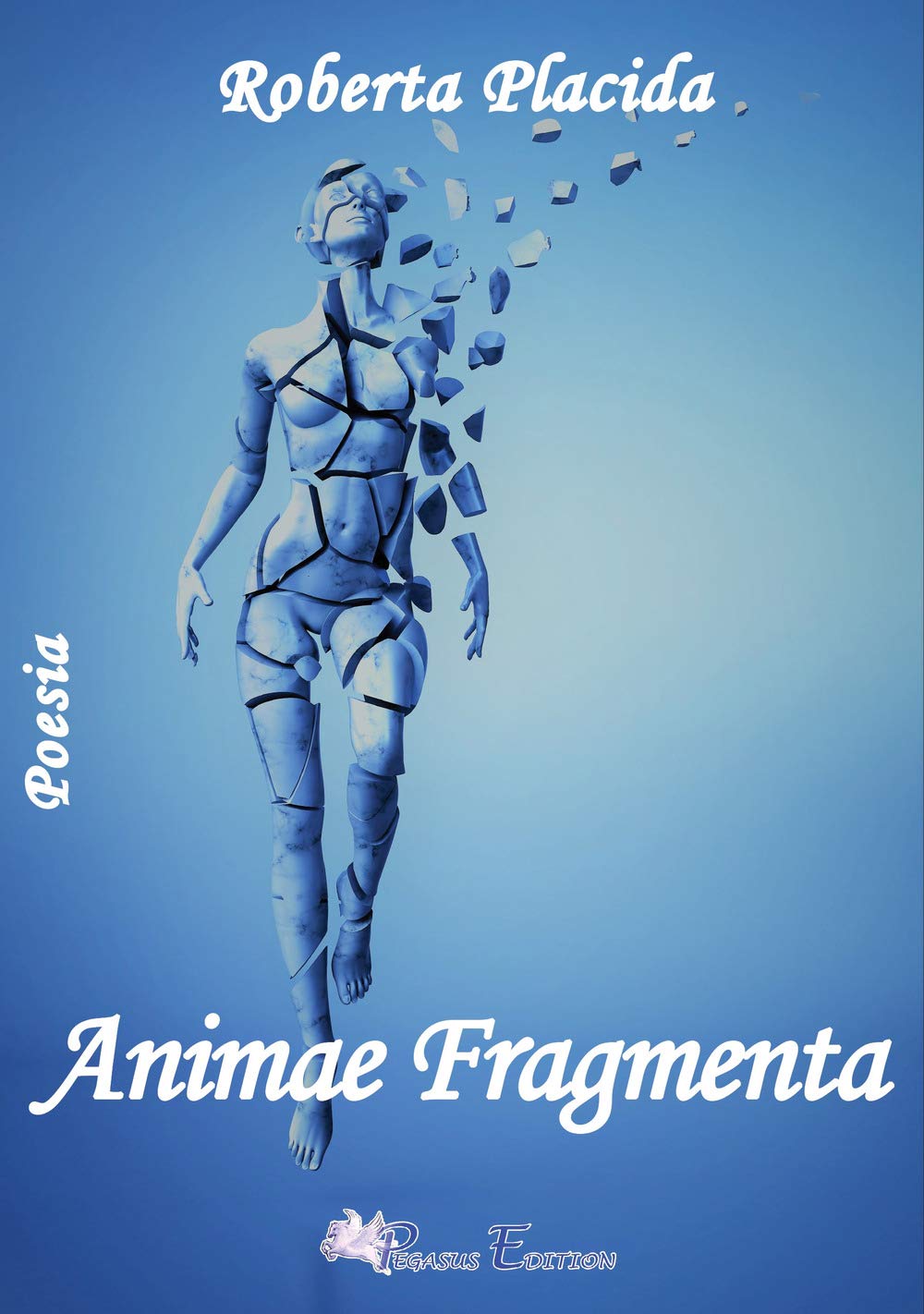 Animae fragmenta Poetry