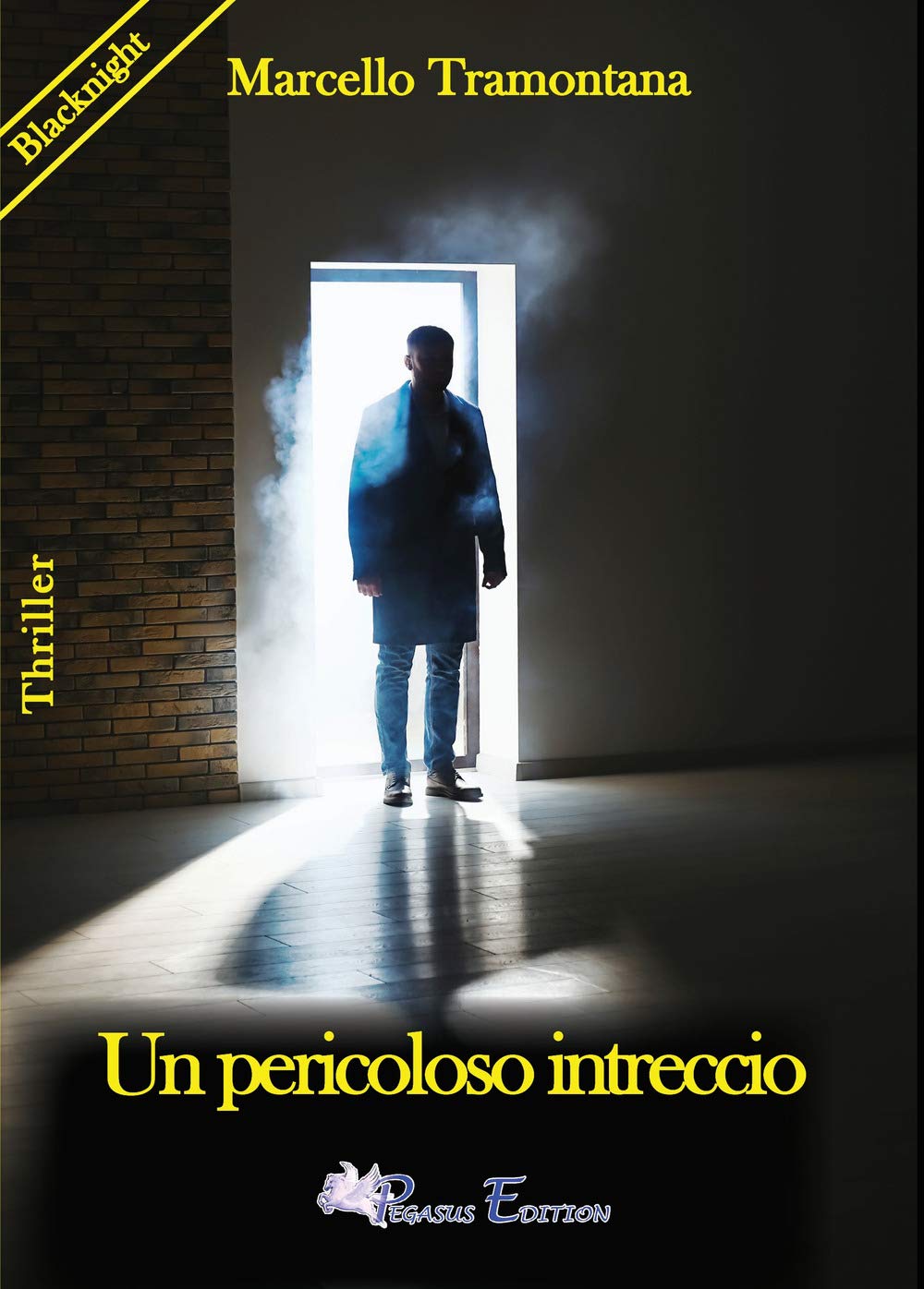 Product Image: Un pericoloso intreccio