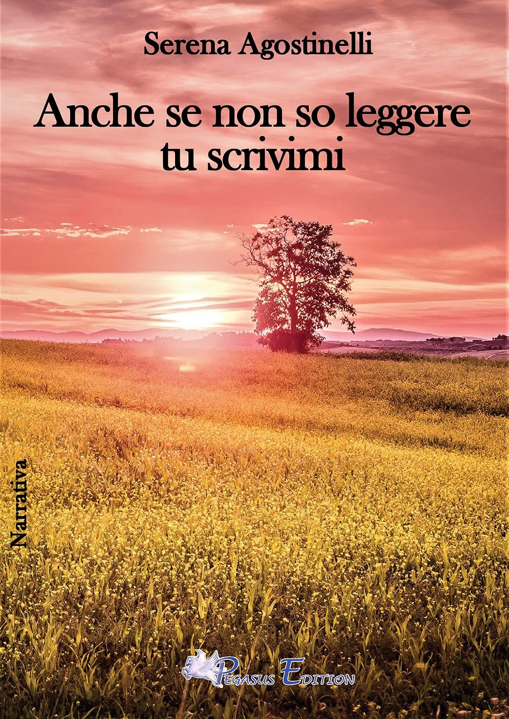 Anche se non so leggere tu scrivimi (Passion) Contemporary literature