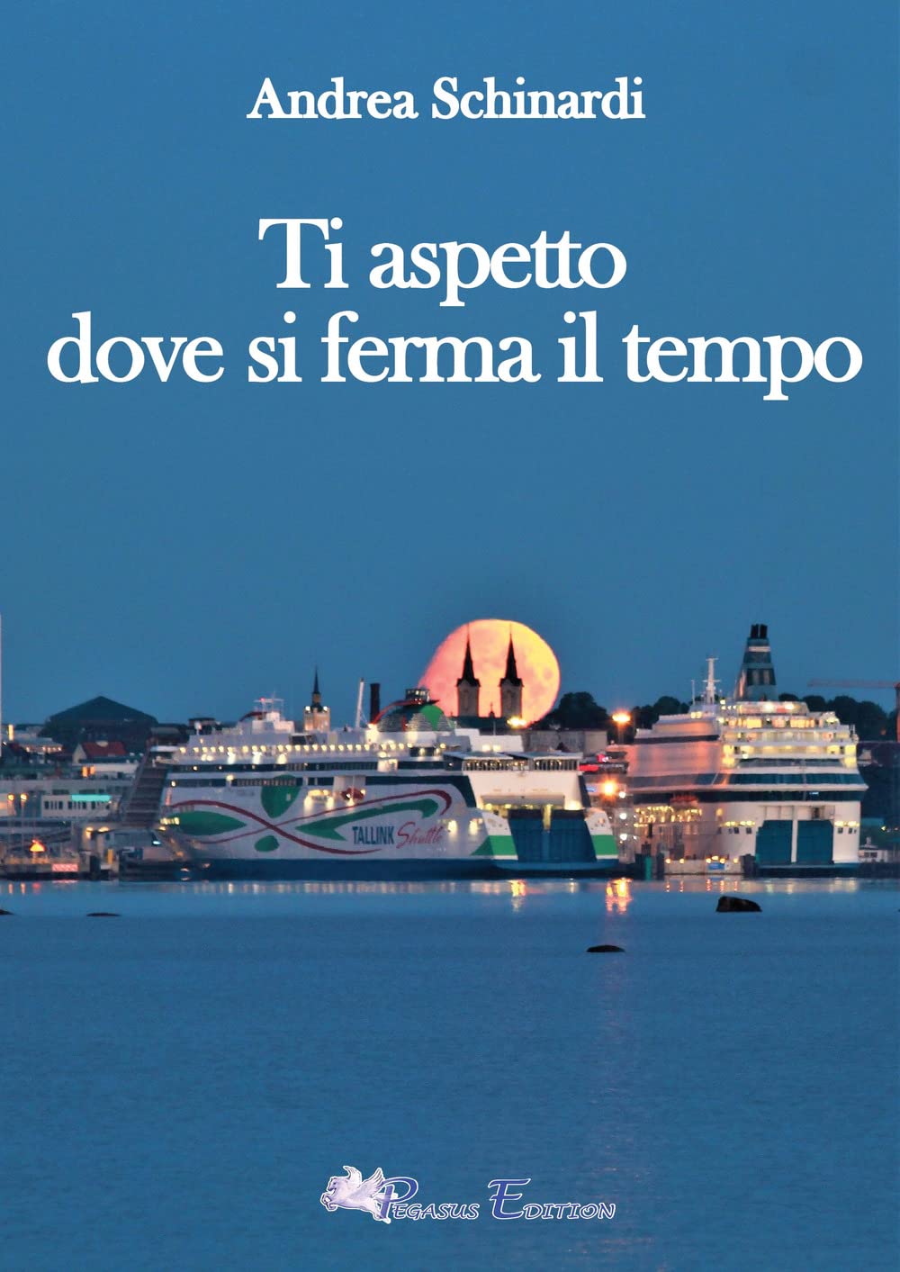 Ti aspetto dove si ferma il tempo (Emotion) Contemporary literature