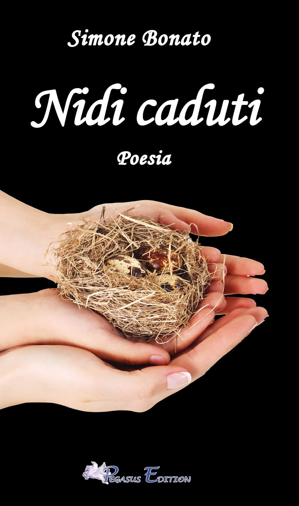 Nidi caduti (Oltre. Poesia) Poetry
