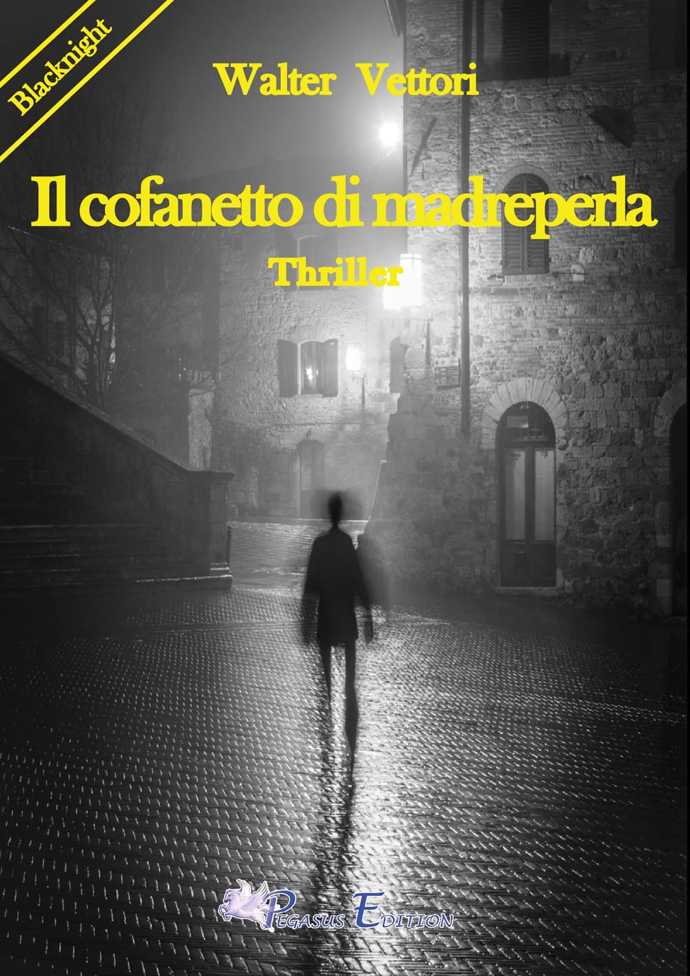 Il cofanetto di madreperla (Blacknight) Contemporary literature