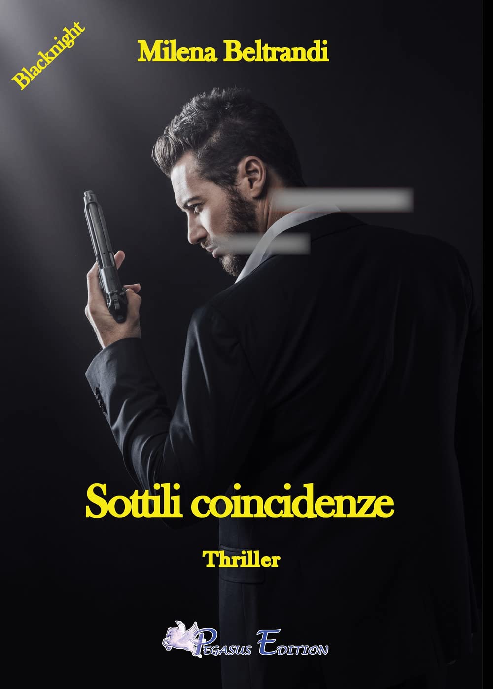 Sottili coincidenze (Blacknight) Contemporary literature