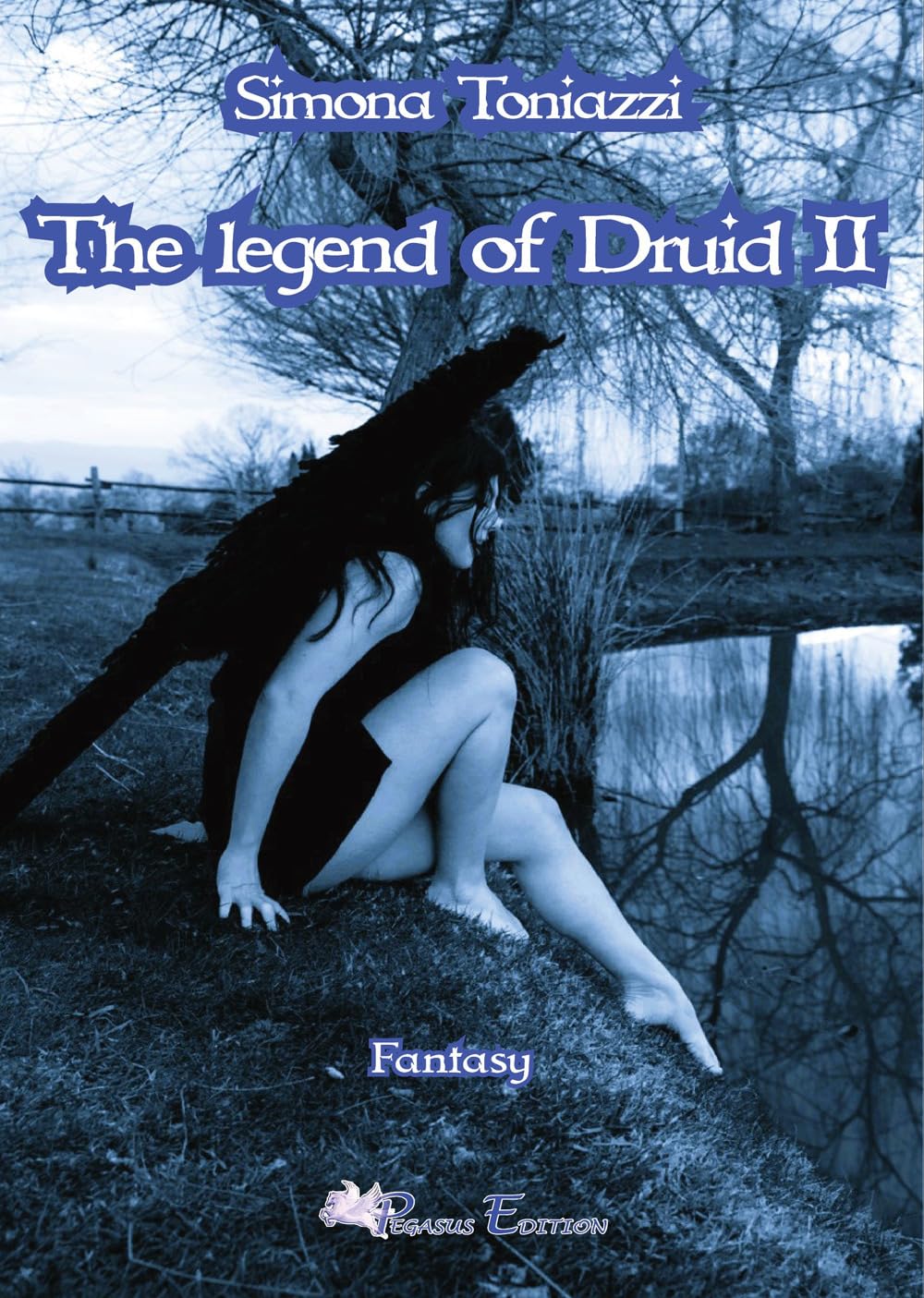 The legend of Druid (Vol. 2) (Fly) Contemporary literature