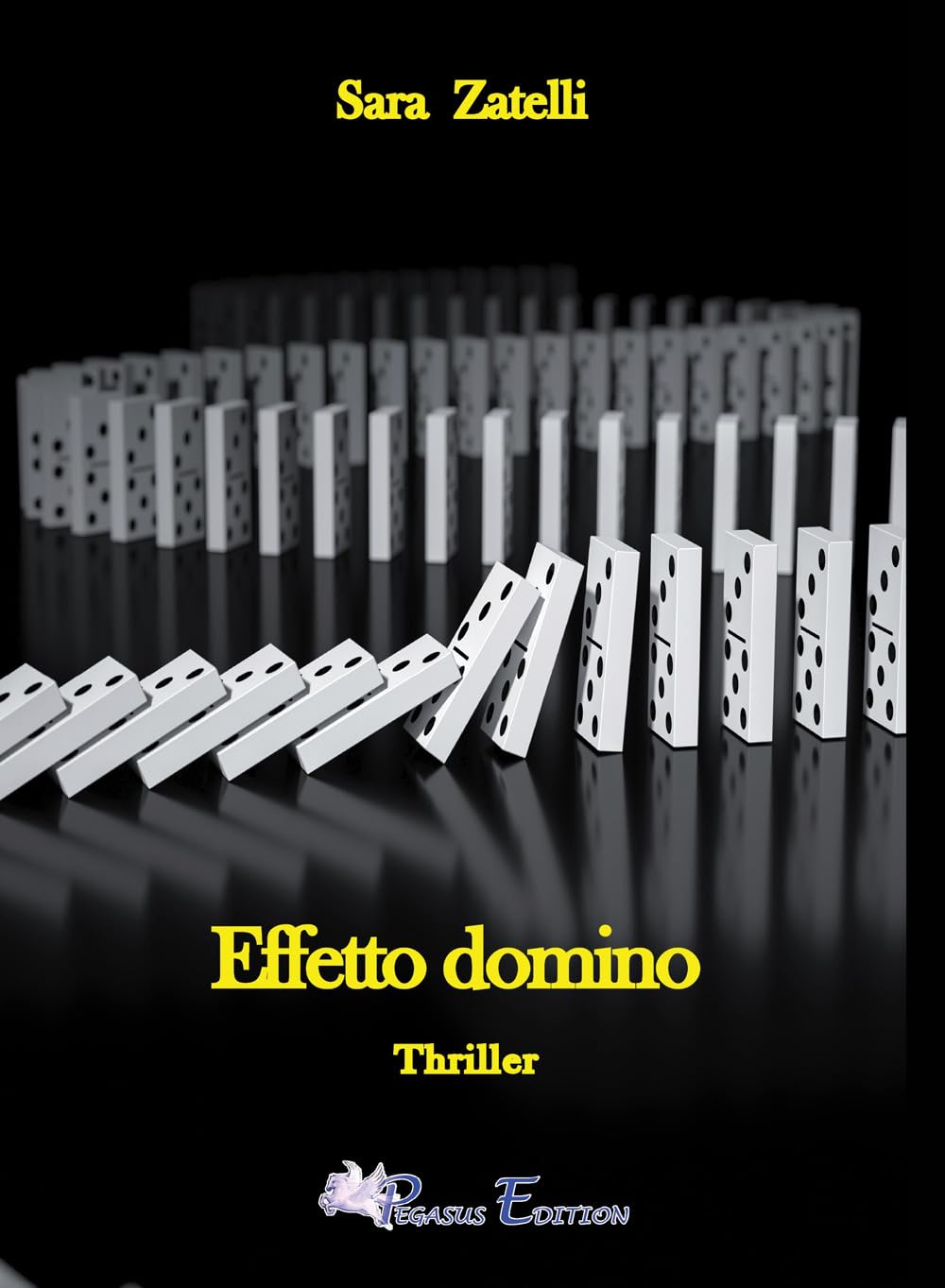 Effetto domino (Blacknight) Contemporary literature