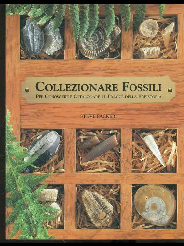 Collezionare fossili per conoscere e catalogare le tracce della preistoria (Illustrati) Hobbies & Crafts