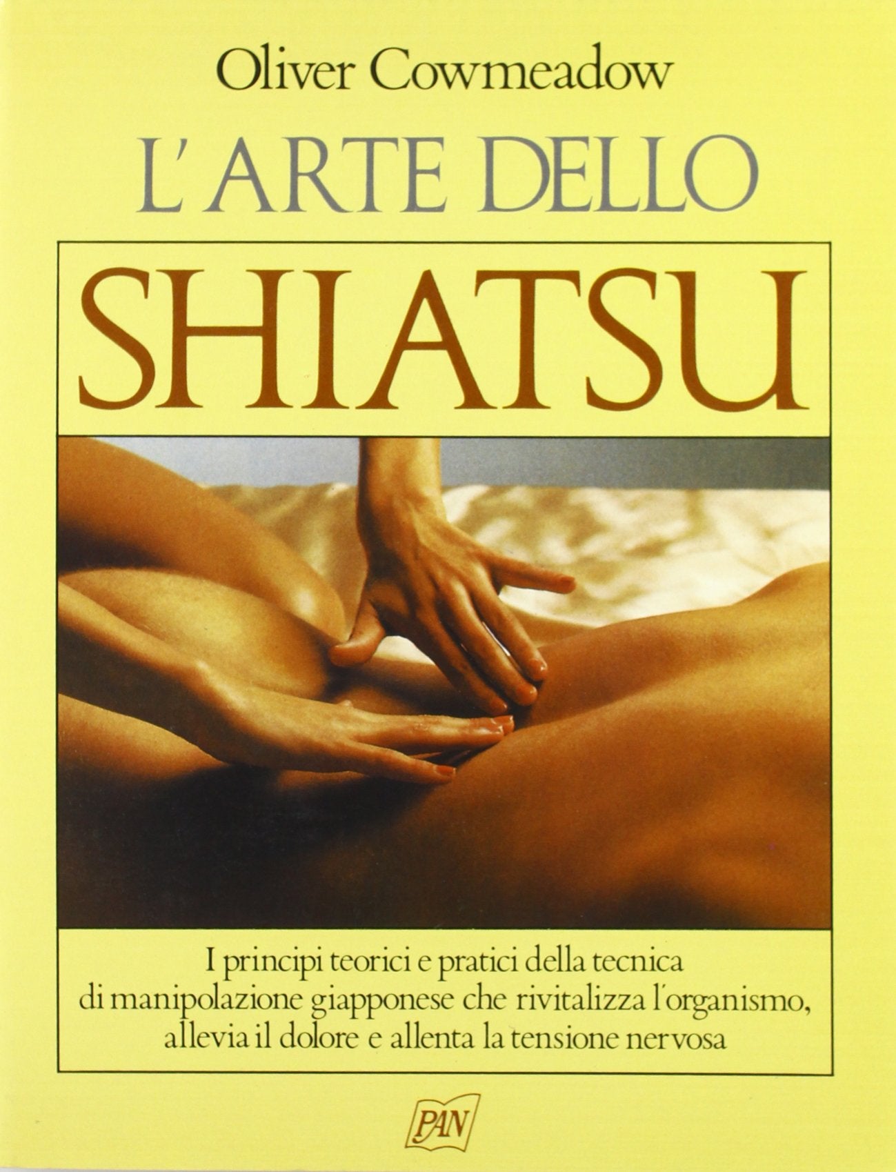 L'arte dello shiatsu. I principi teorici e pratici della tecnica di manipolazione giapponese che rivitalizza l'organismo, allevia il dolore... (Manuali illustrati) Religion & Esotericism