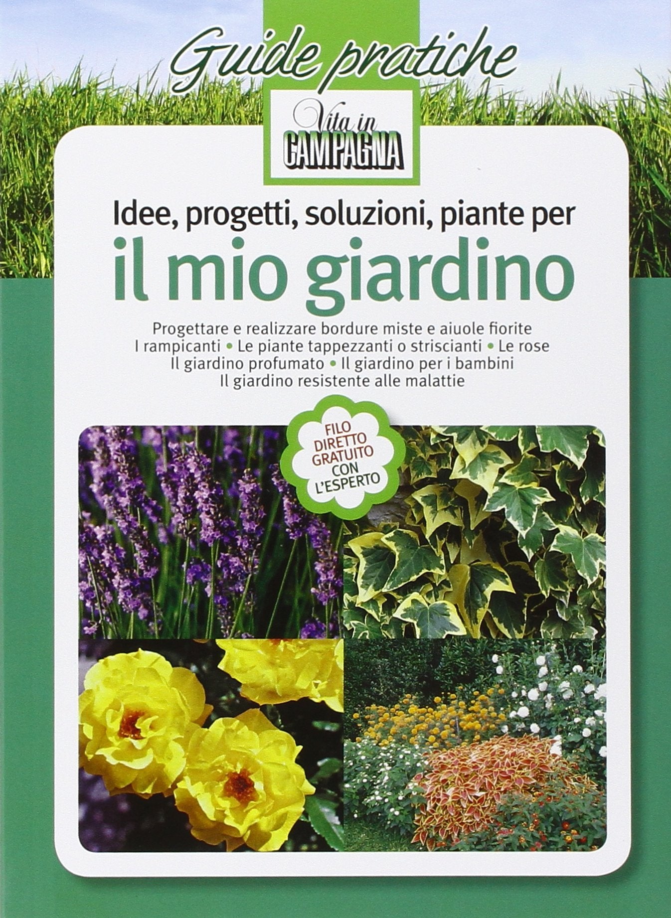 Idee, progetti, soluzioni, piante per il mio giardino Leisure, Home & Garden