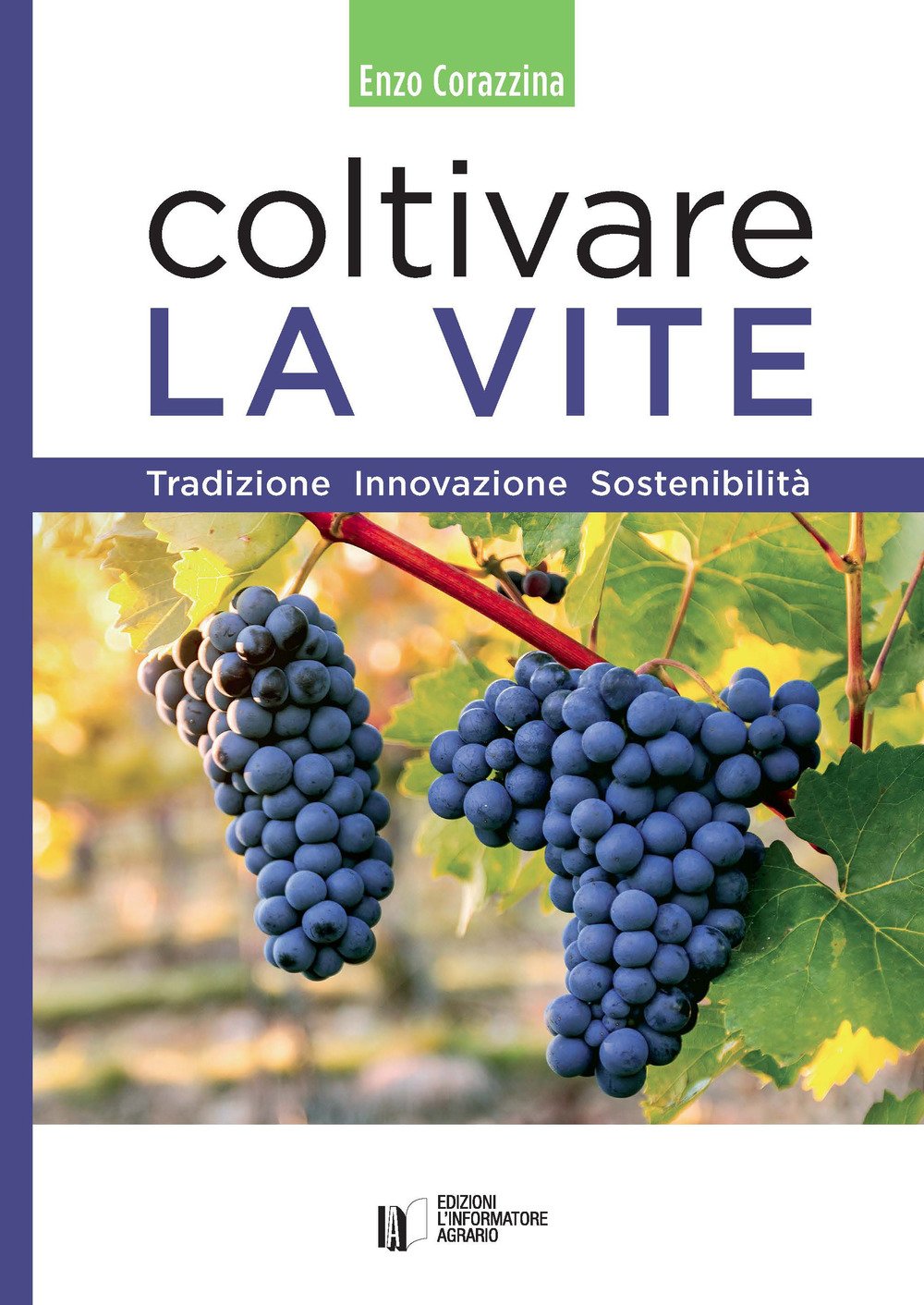 Coltivare la vite. Tradizione, innovazione, sostenibilità Natural Sciences