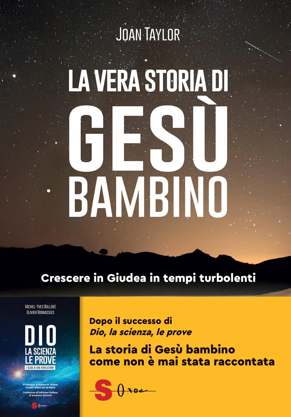 La vera storia di Gesù bambino. Crescere in Giudea in tempi turbolenti (Saggi) Philosophy