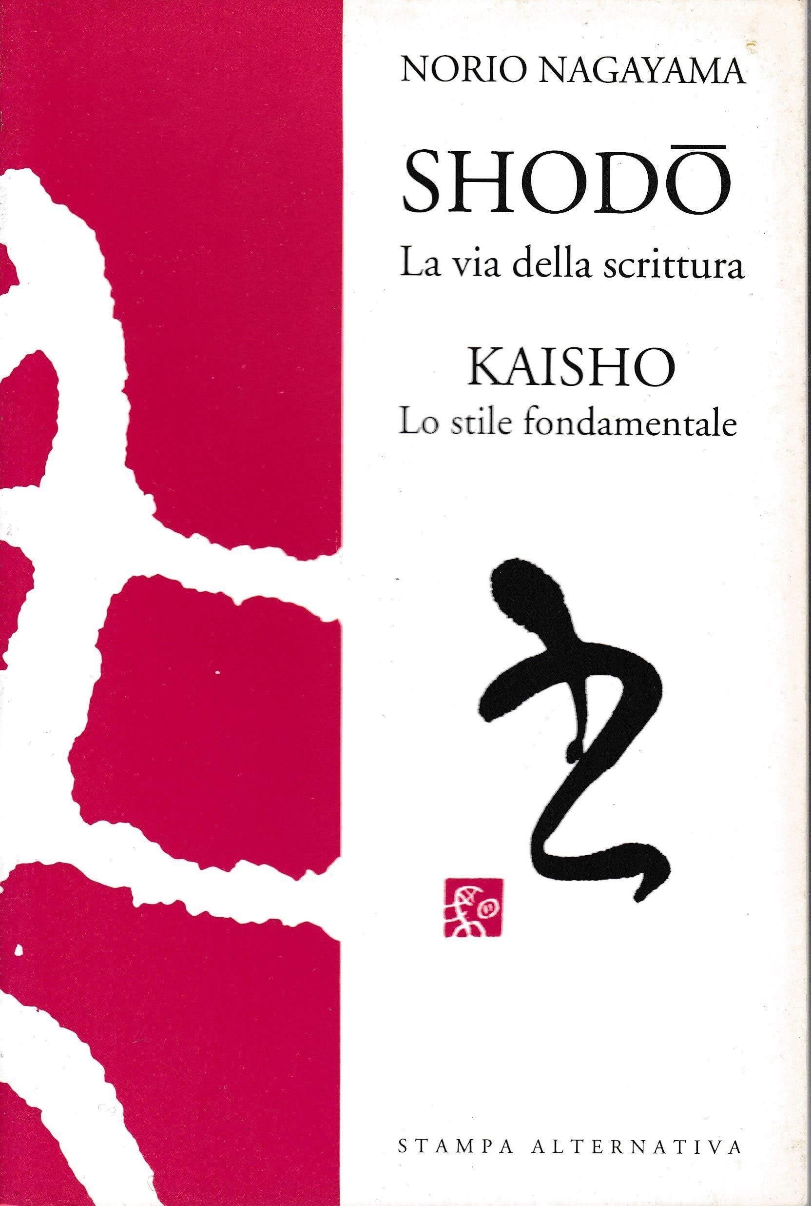 Shodo. La via della scrittura kaisho. Lo stile fondamentale (Leggere e scrivere) Social Sciences