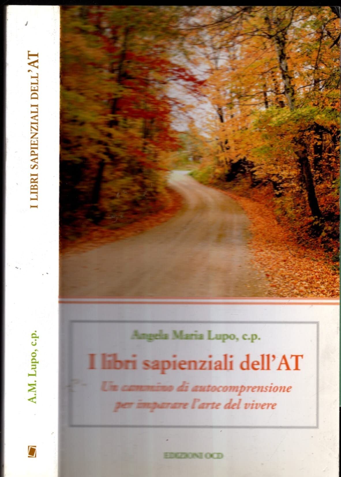 I libri sapienziali dell'Antico Testamento. Un cammino di autocomprensione per imparare l'arte del vivere book