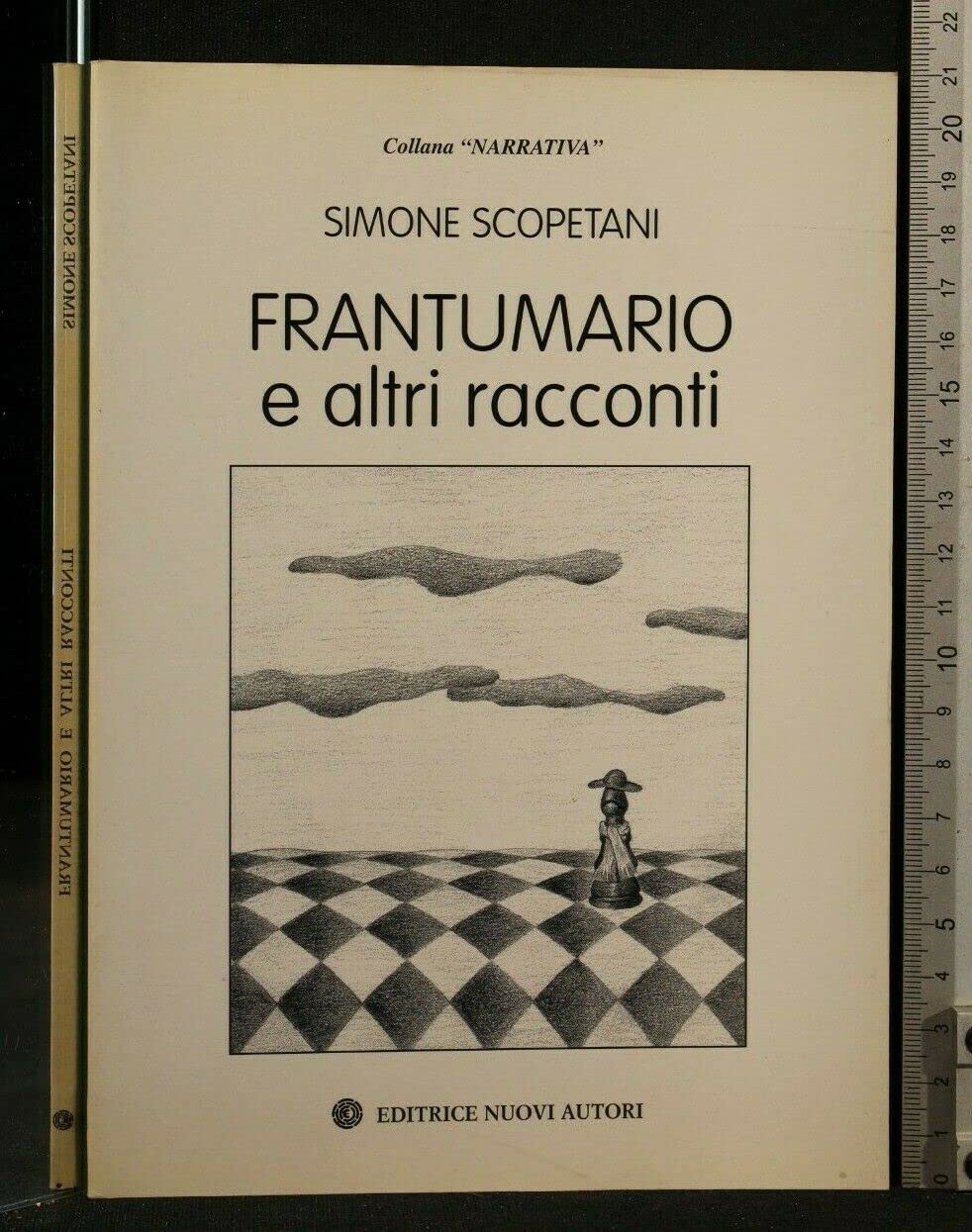 Frantumario e altri racconti (Narrativa) Contemporary literature